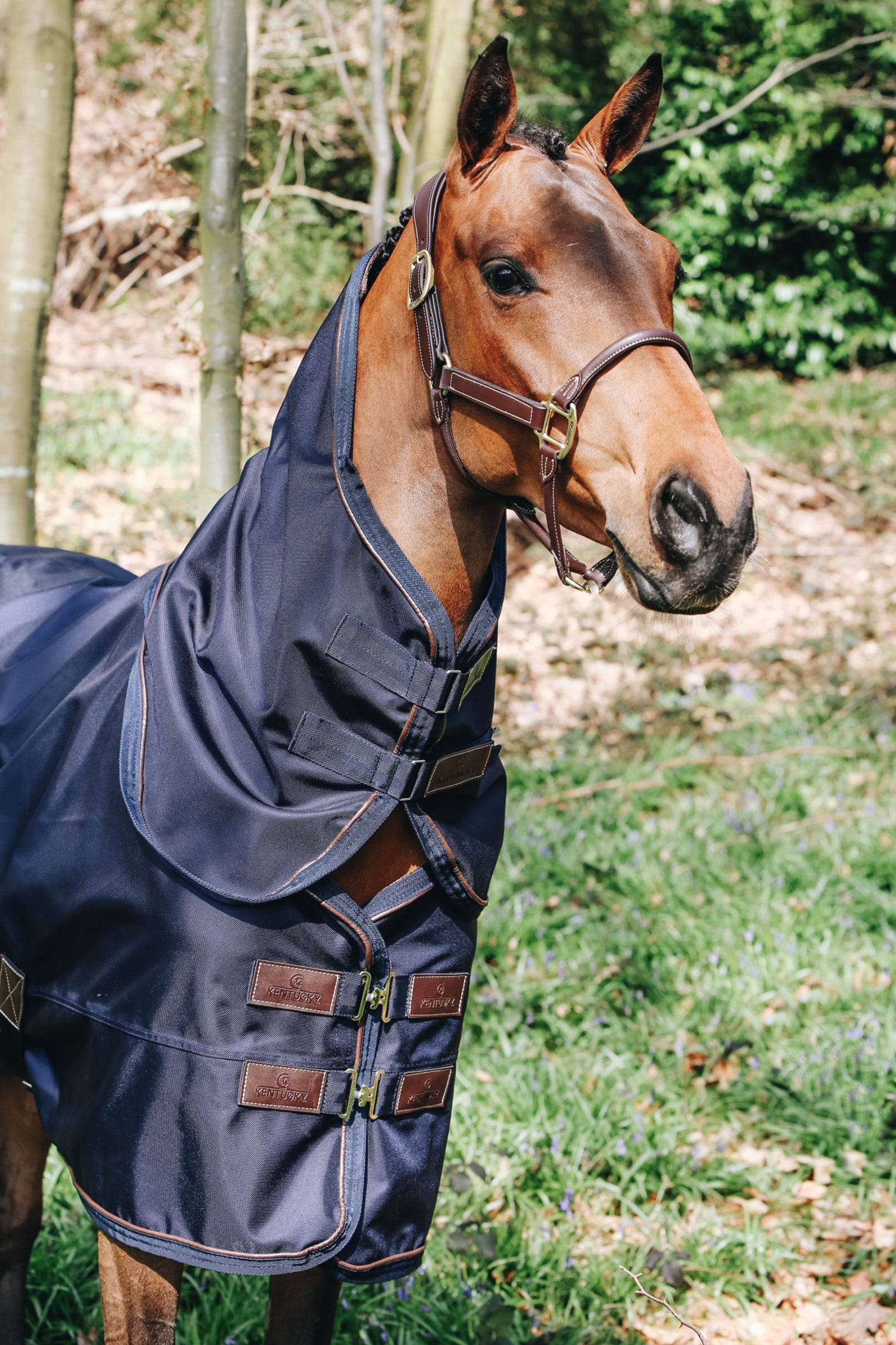 Kentucky Horsewear Cuello para todo clima, 0g Mantas Caballo