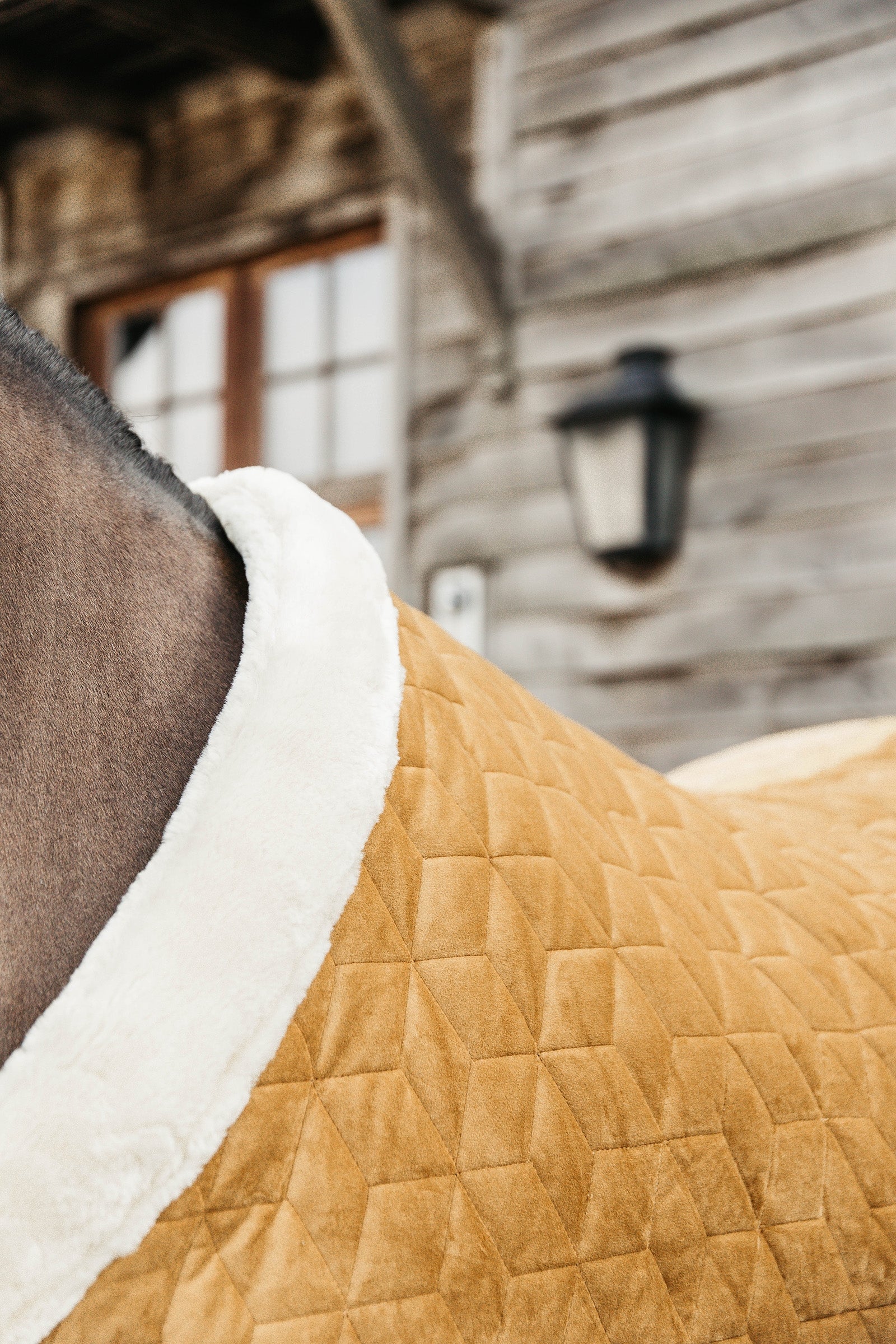 Kentucky Horsewear Velvet Pony Show Rug, 160g Horse Rugs