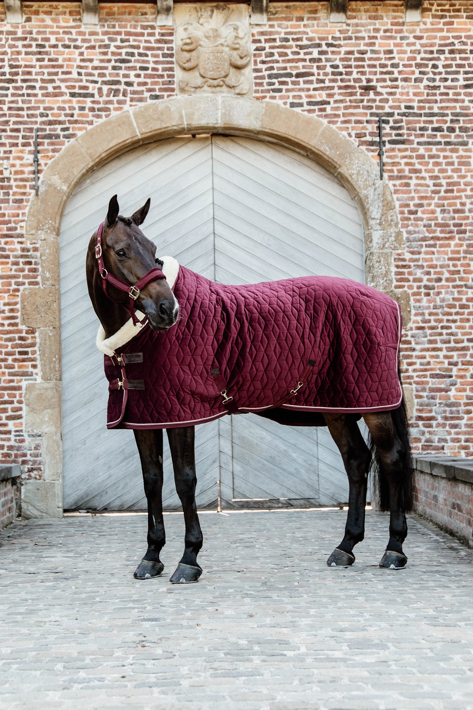 Kentucky Horsewear Manta de Concurso de Terciopelo Kentucky Horsewear, 160g Mantas Caballo