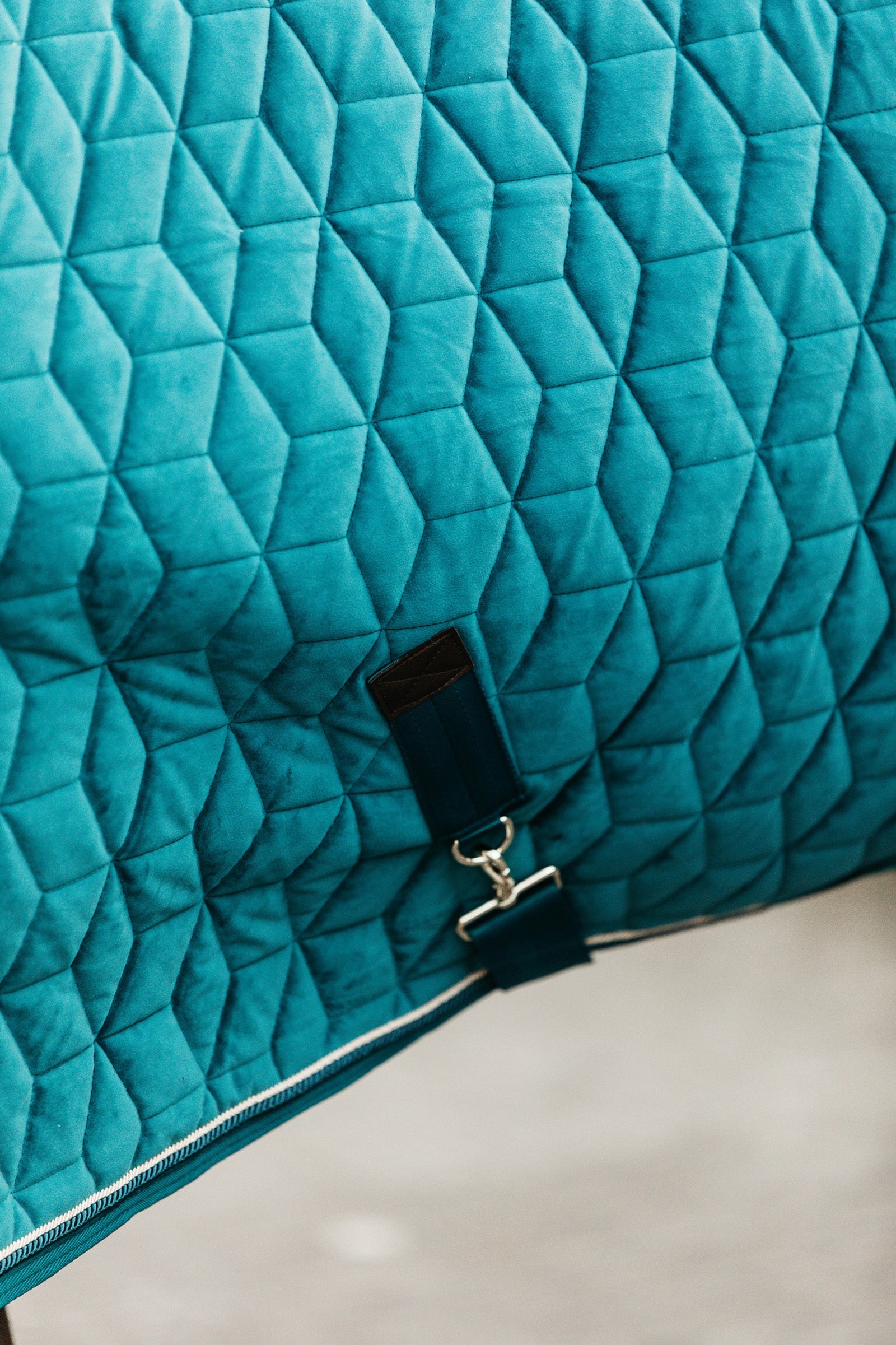 Kentucky Horsewear Velvet Show Rug, 160g Horse Rugs