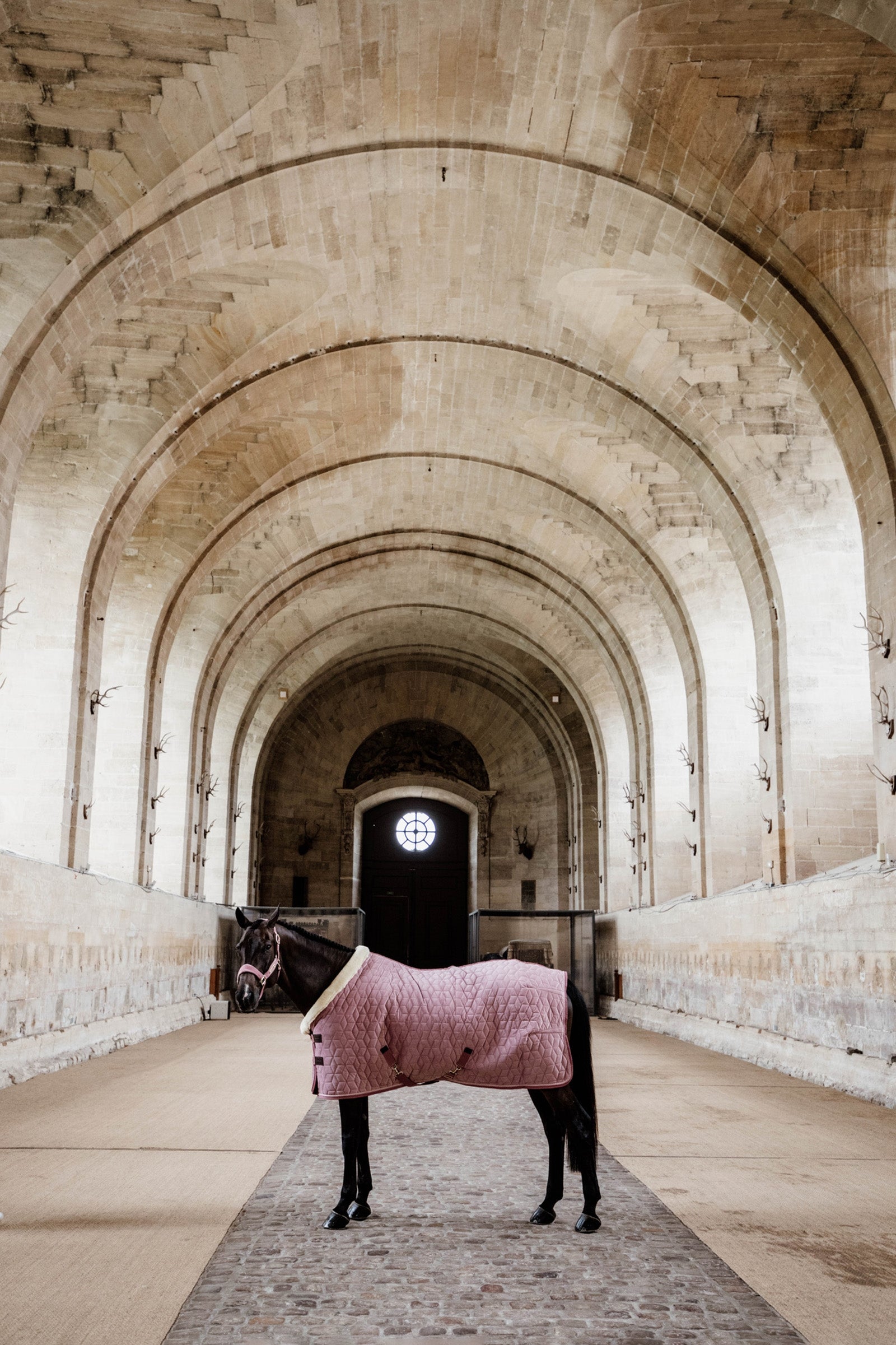 Kentucky Horsewear Velvet Show Rug, 160g Horse Rugs