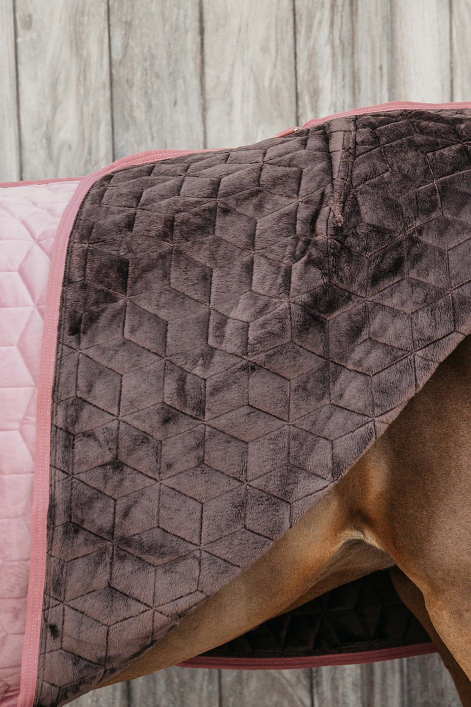 Kentucky Horsewear Velvet Show Rug, 160g Horse Rugs