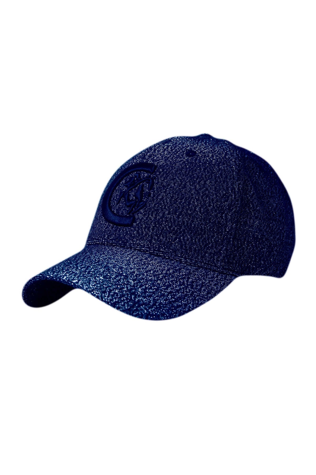 Alt Tag fallback text for IMAGE