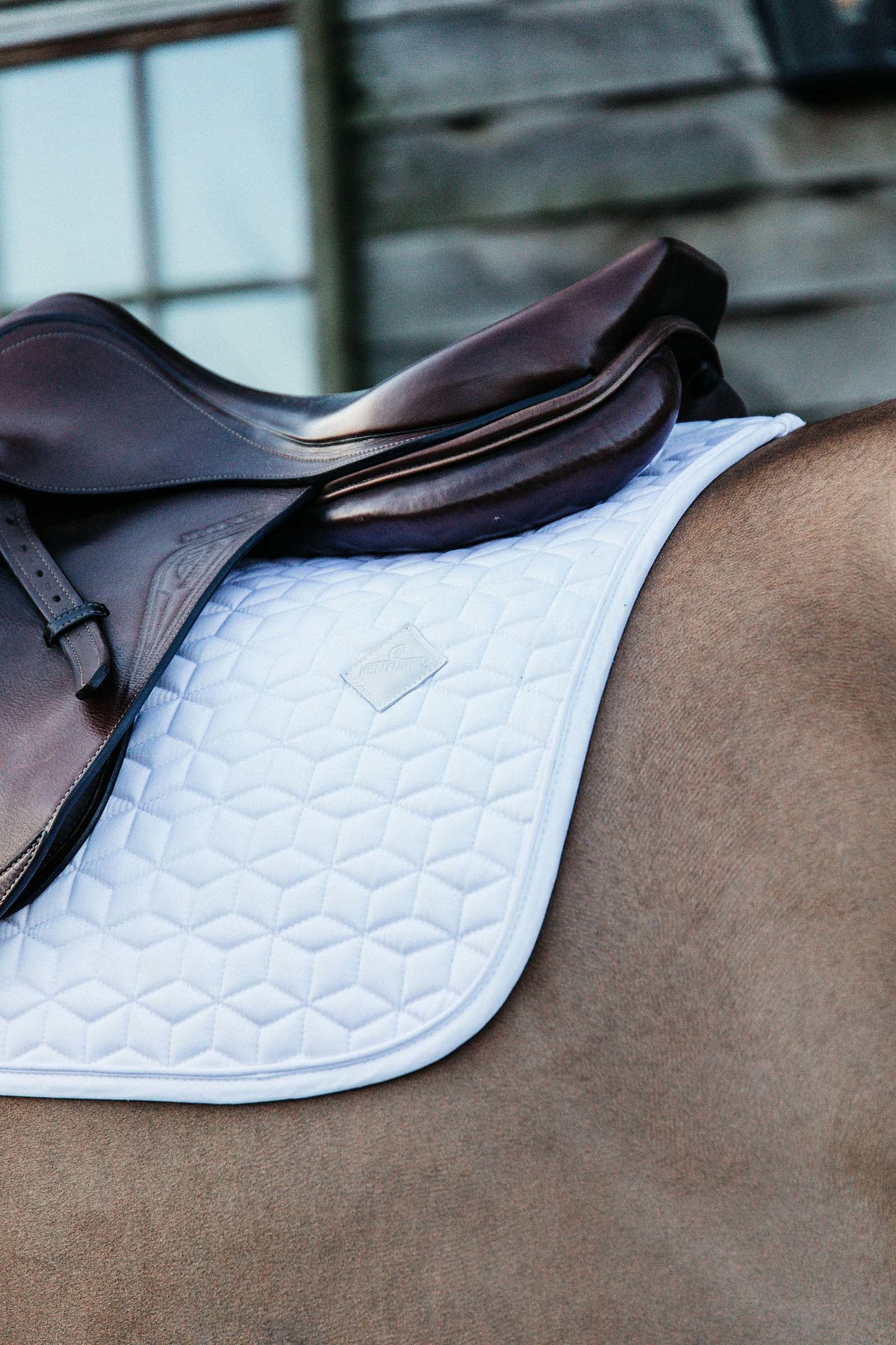 Kentucky Horsewear Basic Jumping Saddle Pad Saddle Pads