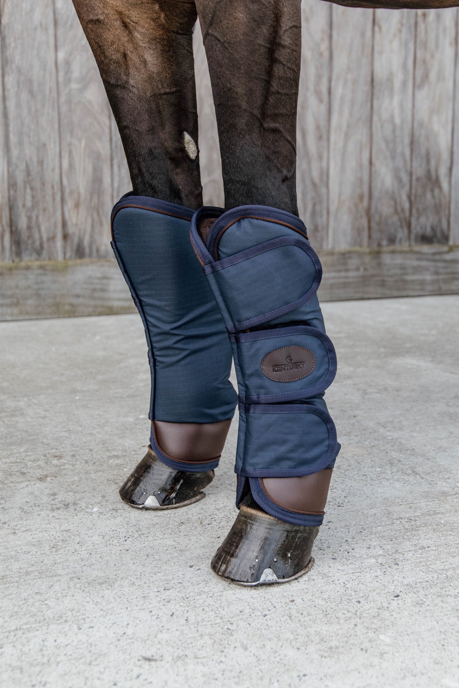 Kentucky Horsewear Protectores de Transporte Leg Protection & Hoof Protection for Horses
