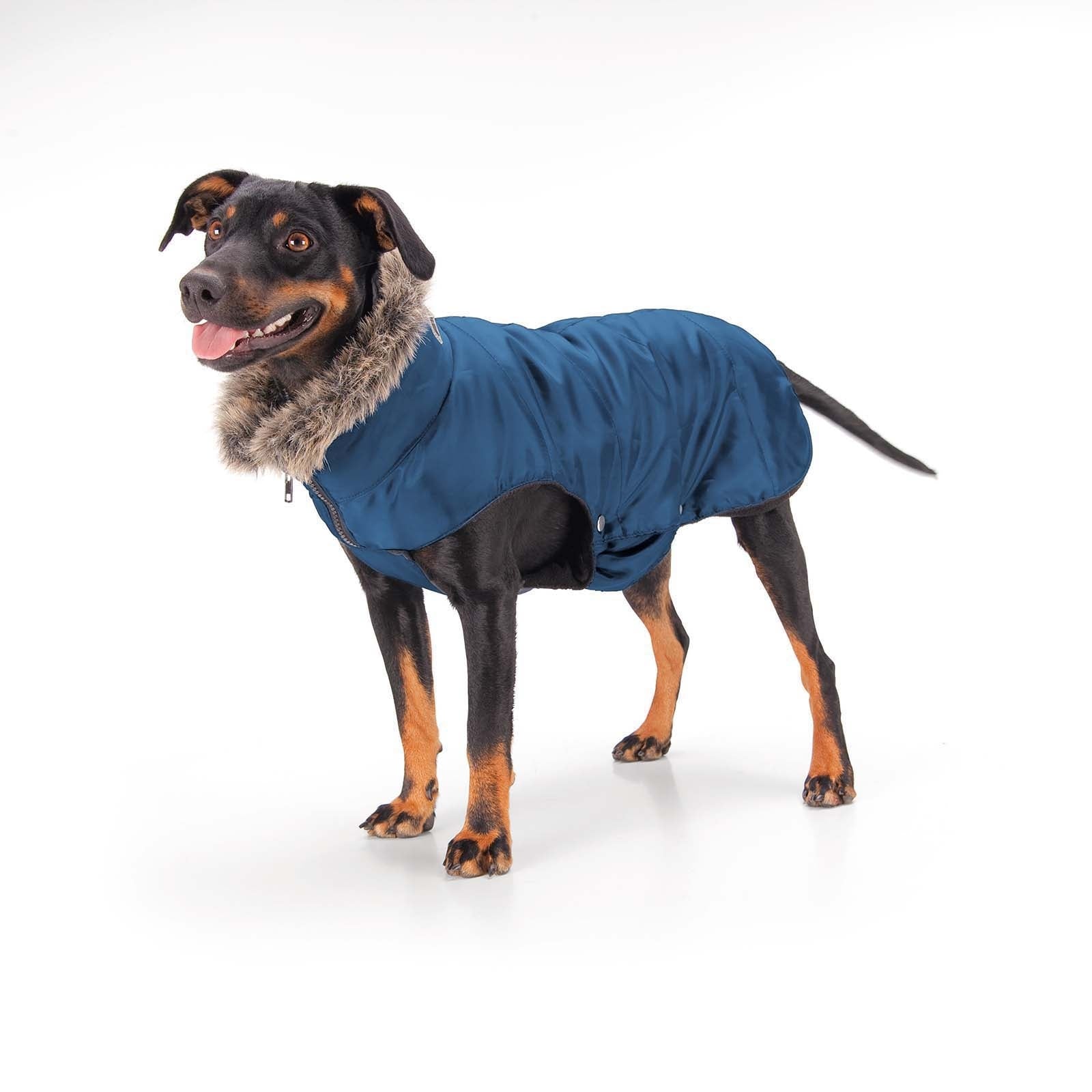 Eskadron Manta Acolchada para Perro Perro