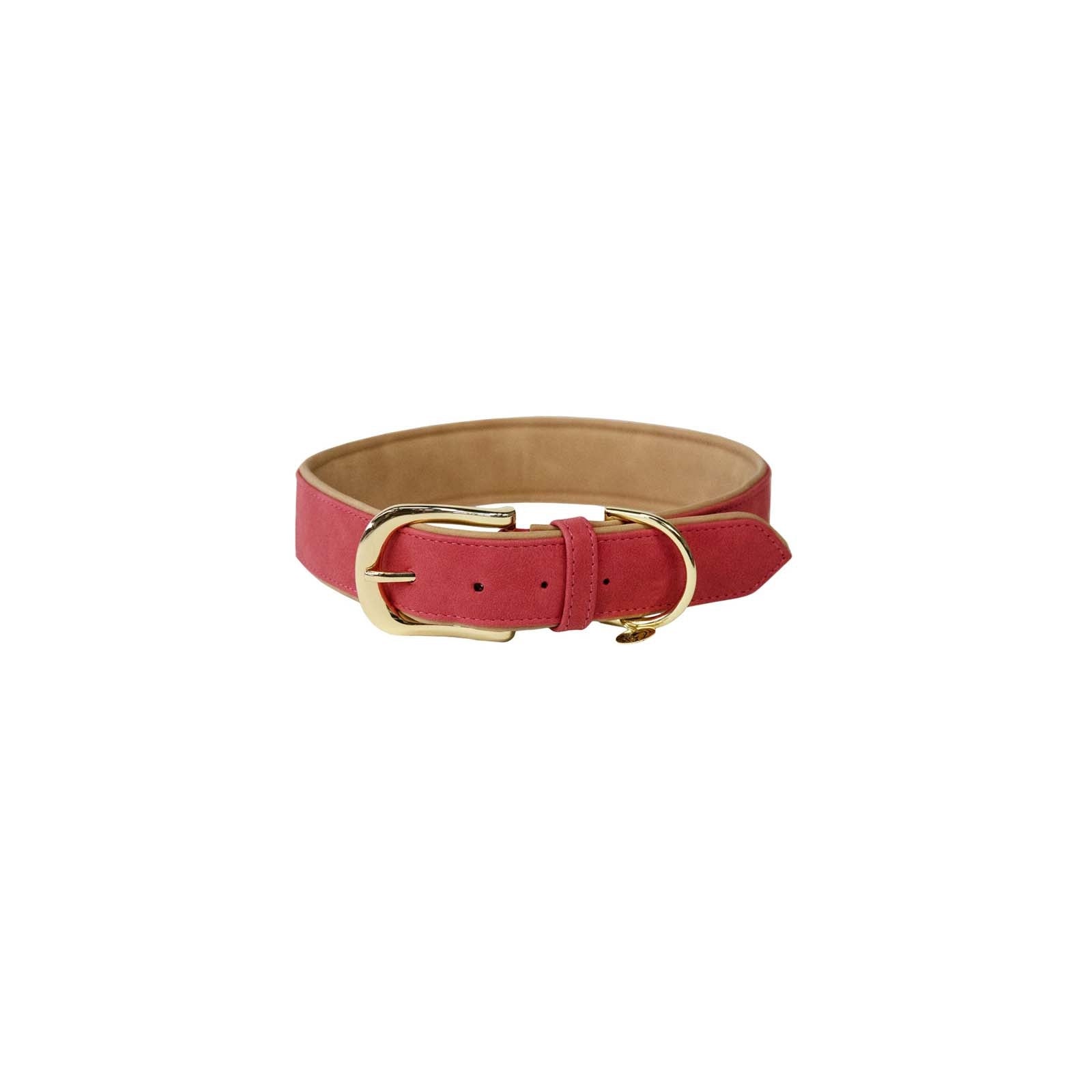 Kentucky Horsewear Collar de Cuero Vegano Suave Kentucky Dogwear Perro