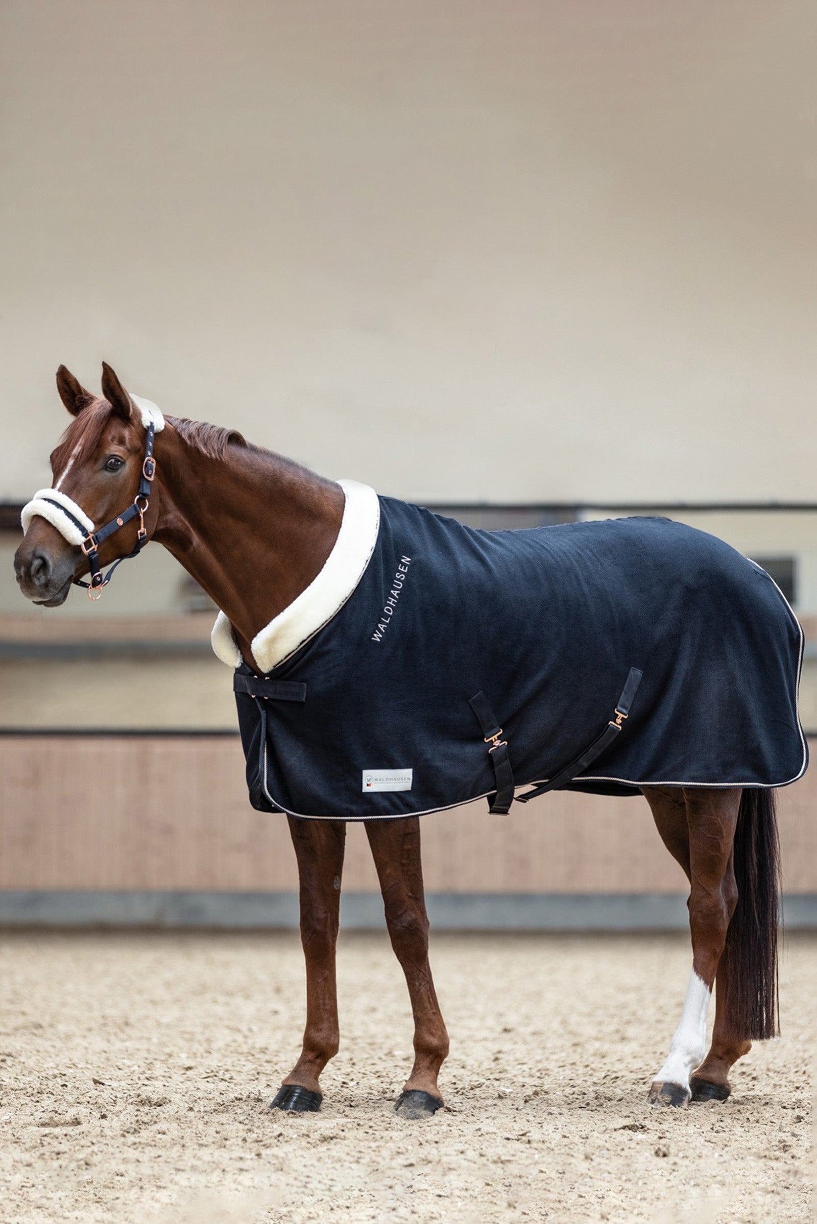 Waldhausen Rosé Modern Manta Polar Mantas Caballo