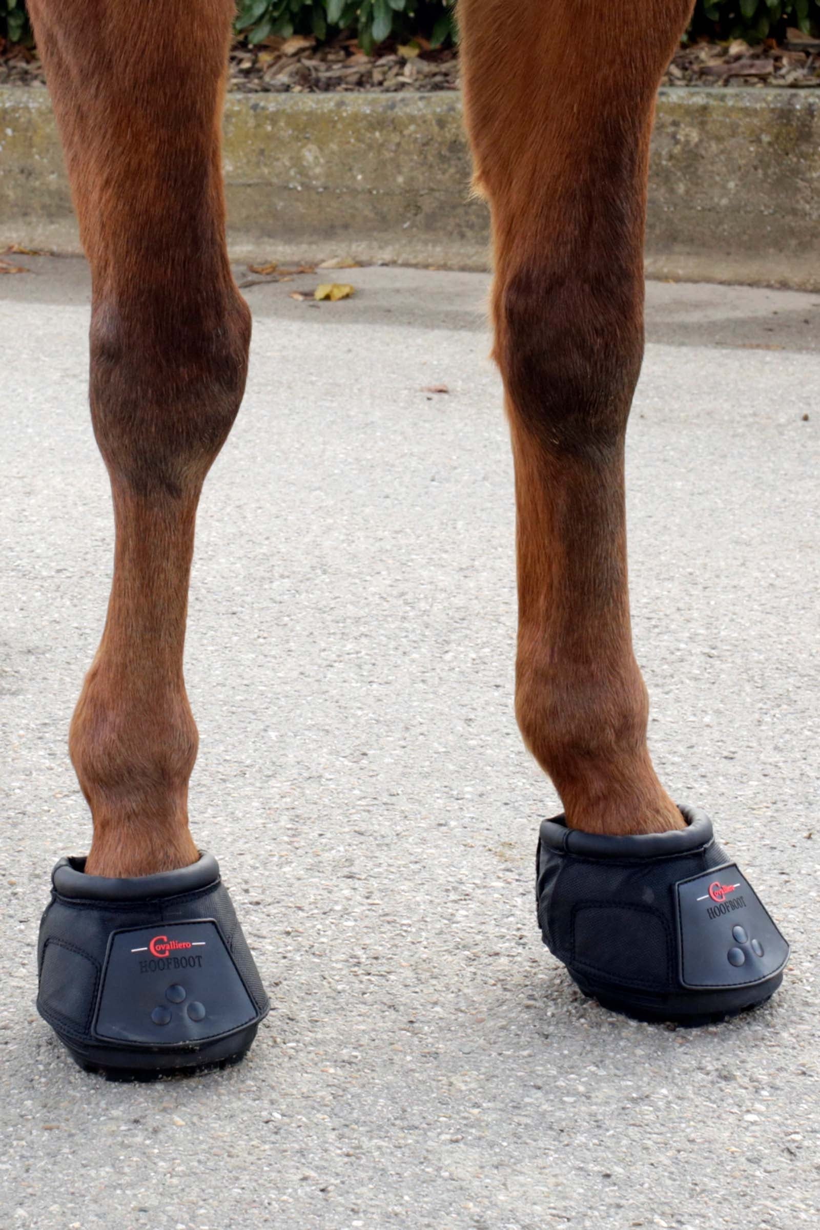 Covalliero Hoof Shoe (1 Piece) Leg Protection & Hoof Protection for Horses