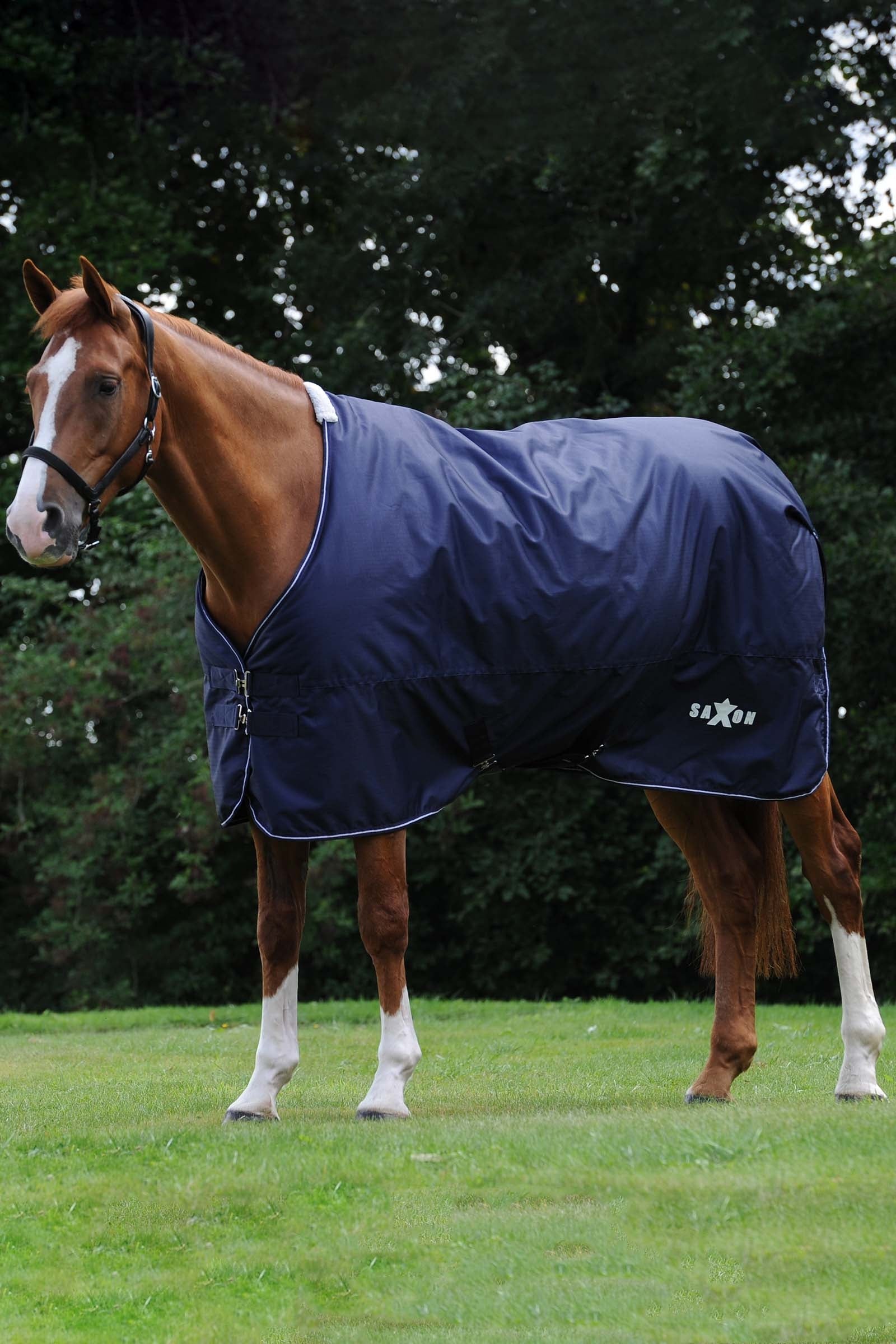 Saxon Manta de Exterior 600D Defiant, 0g Mantas Caballo