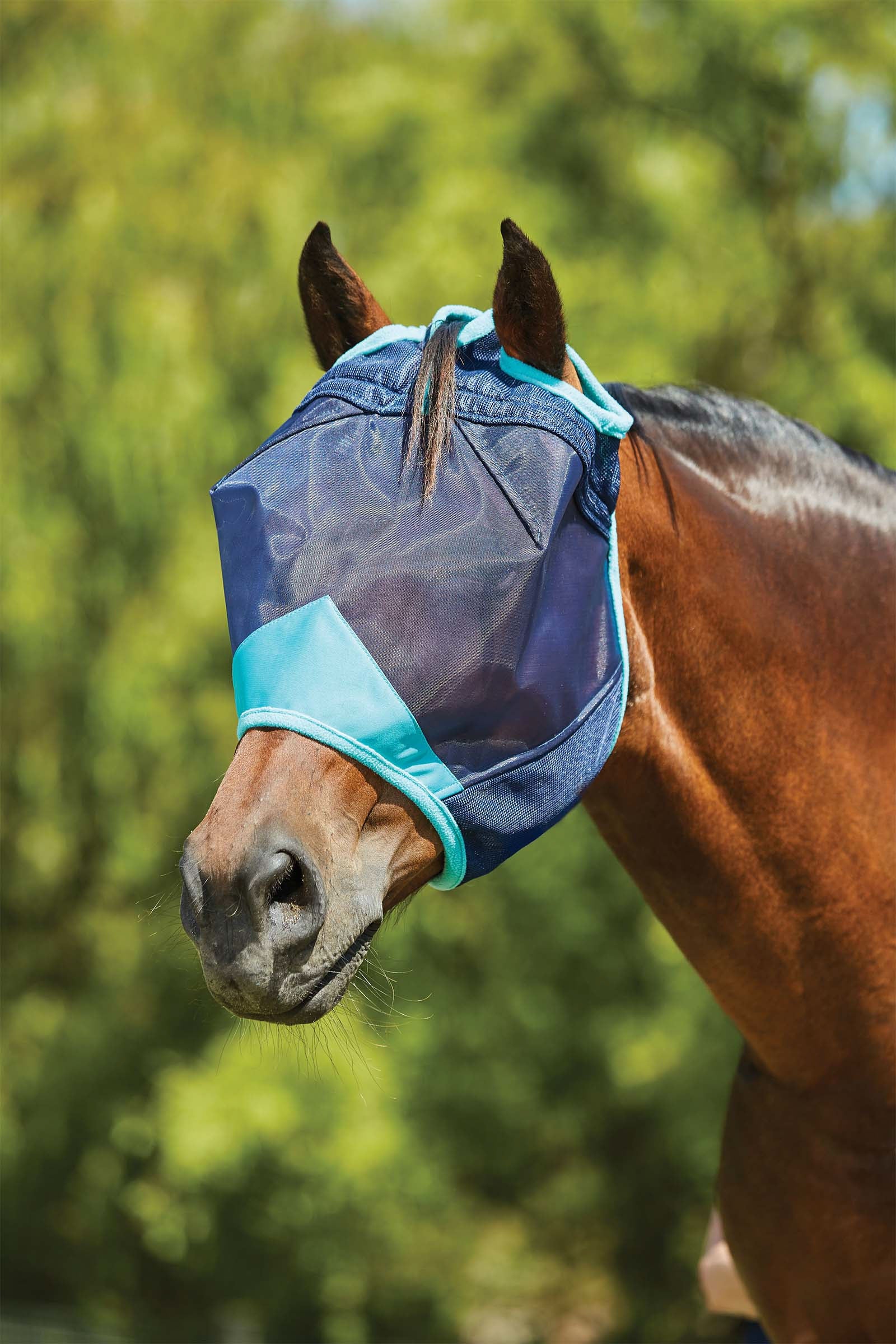 Weatherbeeta Máscara de Malla Fina Comfitec Deluxe Protección Antimoscas para Caballos