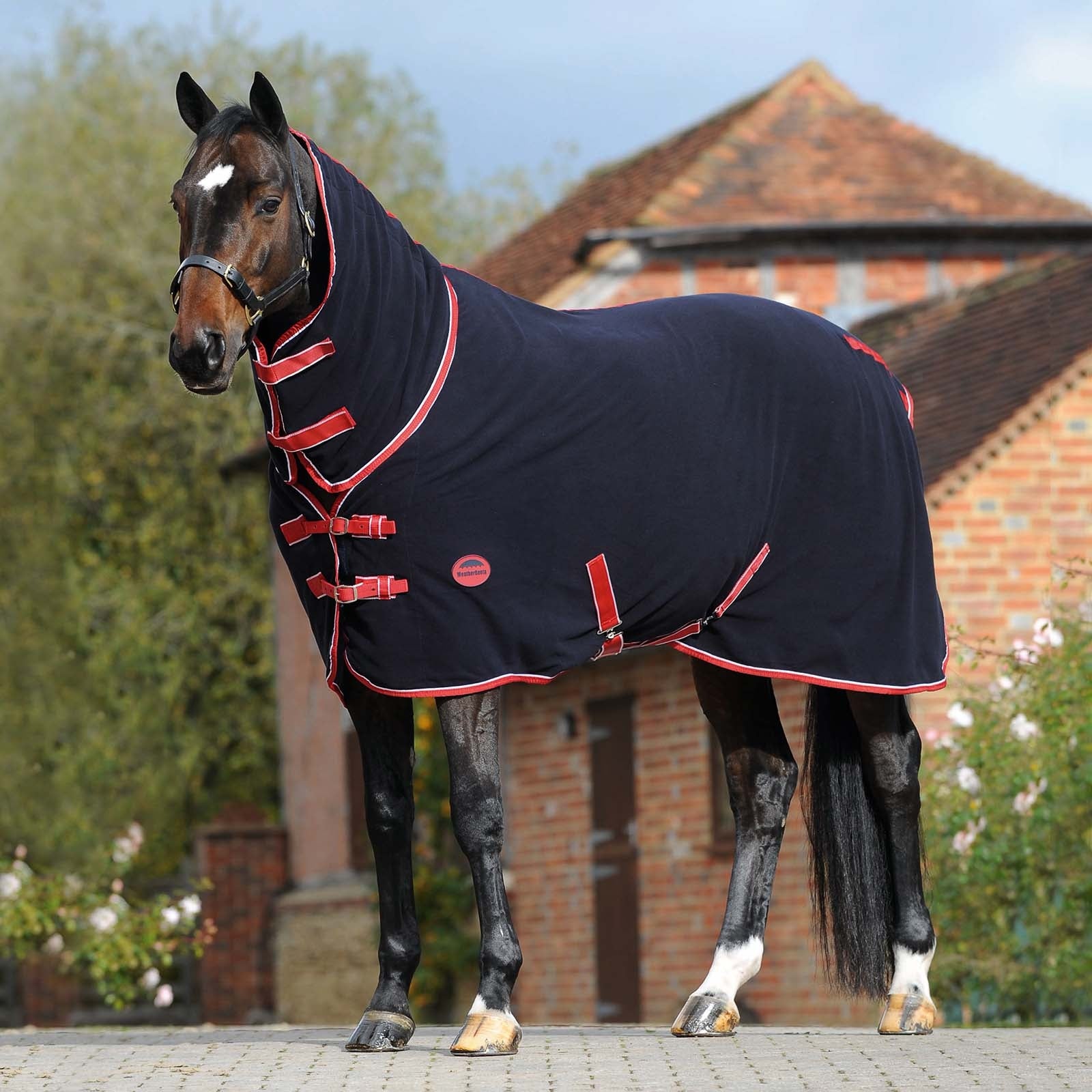 Weatherbeeta Manta de Secado Polar Combo con Cubre Cuello Fijo Mantas Caballo