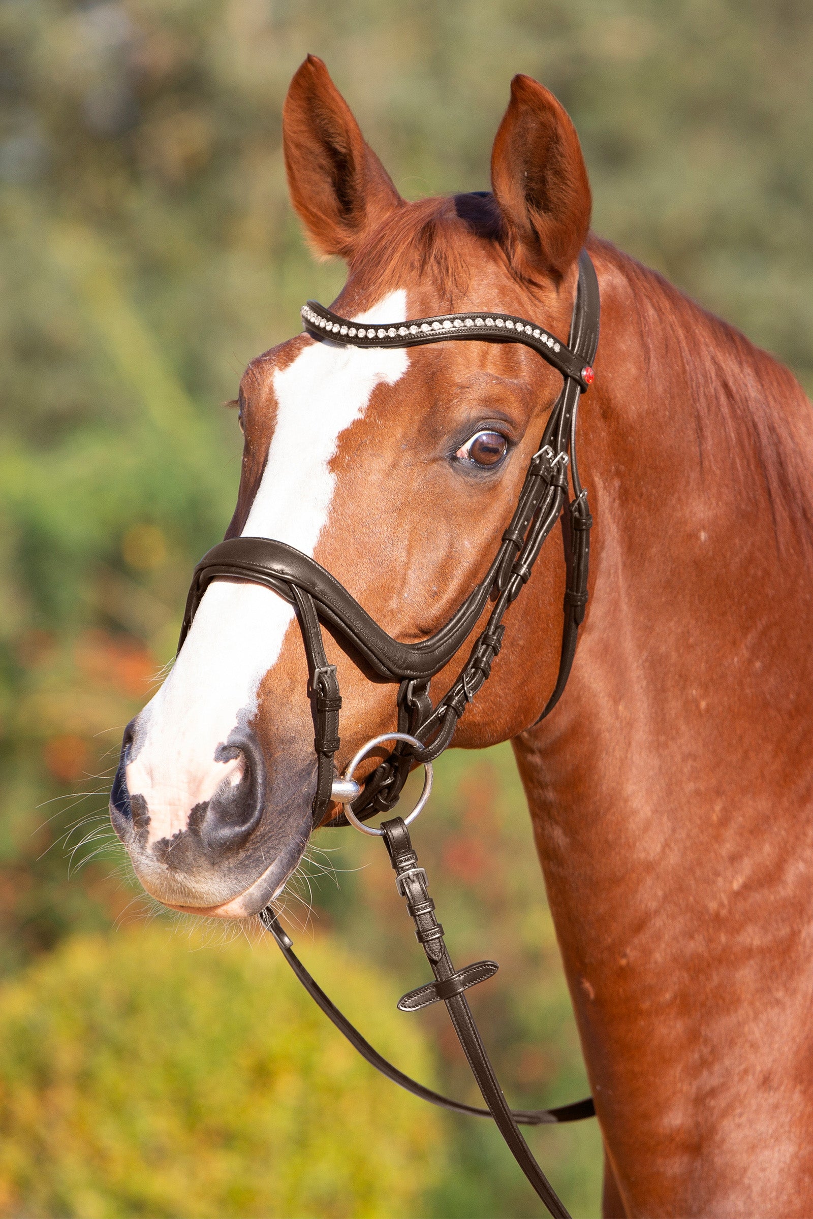 Kieffer Ultrasoft® Amy Bridle Bridles & Reins