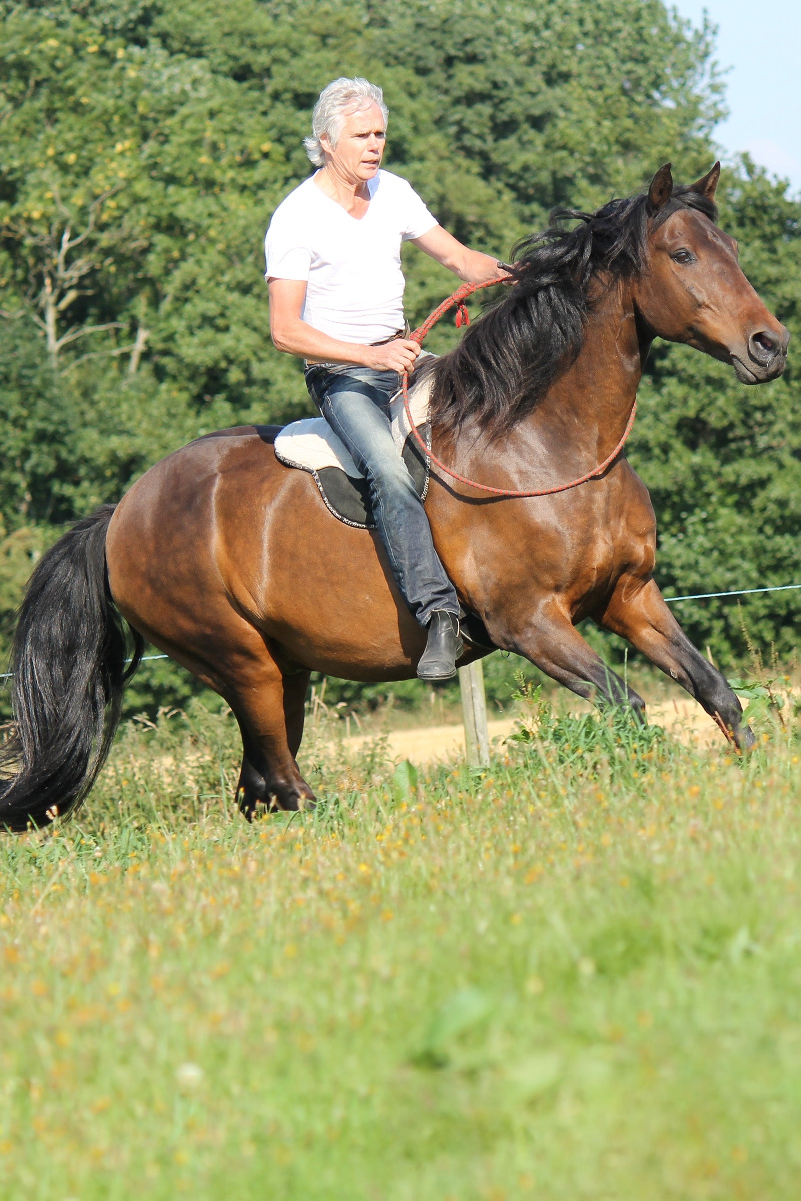 F.R.A. Freedom Riding Articles Free Bareback Pad, Full Saddles, Girths & Stirrups