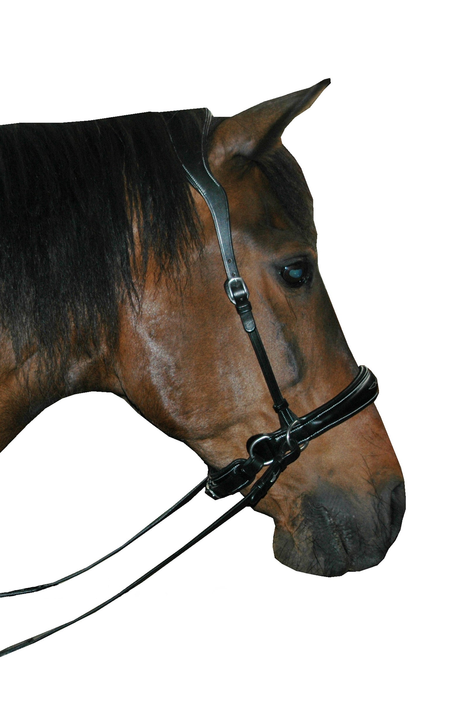 F.R.A. Freedom Riding Articles Alizée Mistral Bitless Bridle With Reins (System 3) Bridles & Reins