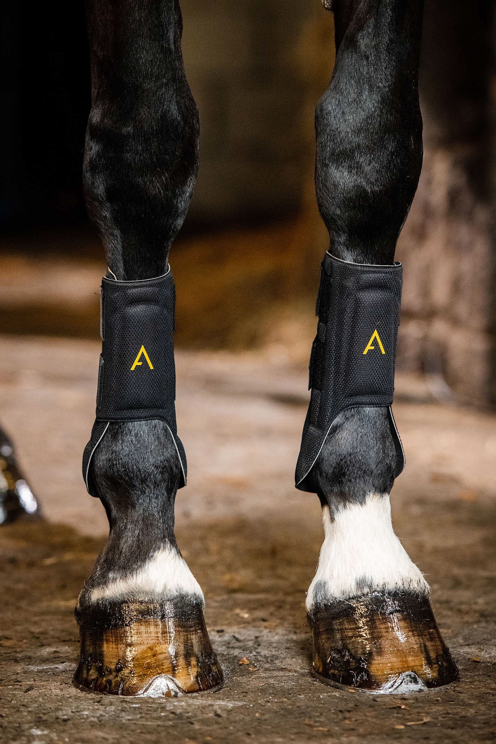 Horseware Protector Adagio Leg Protection & Hoof Protection for Horses