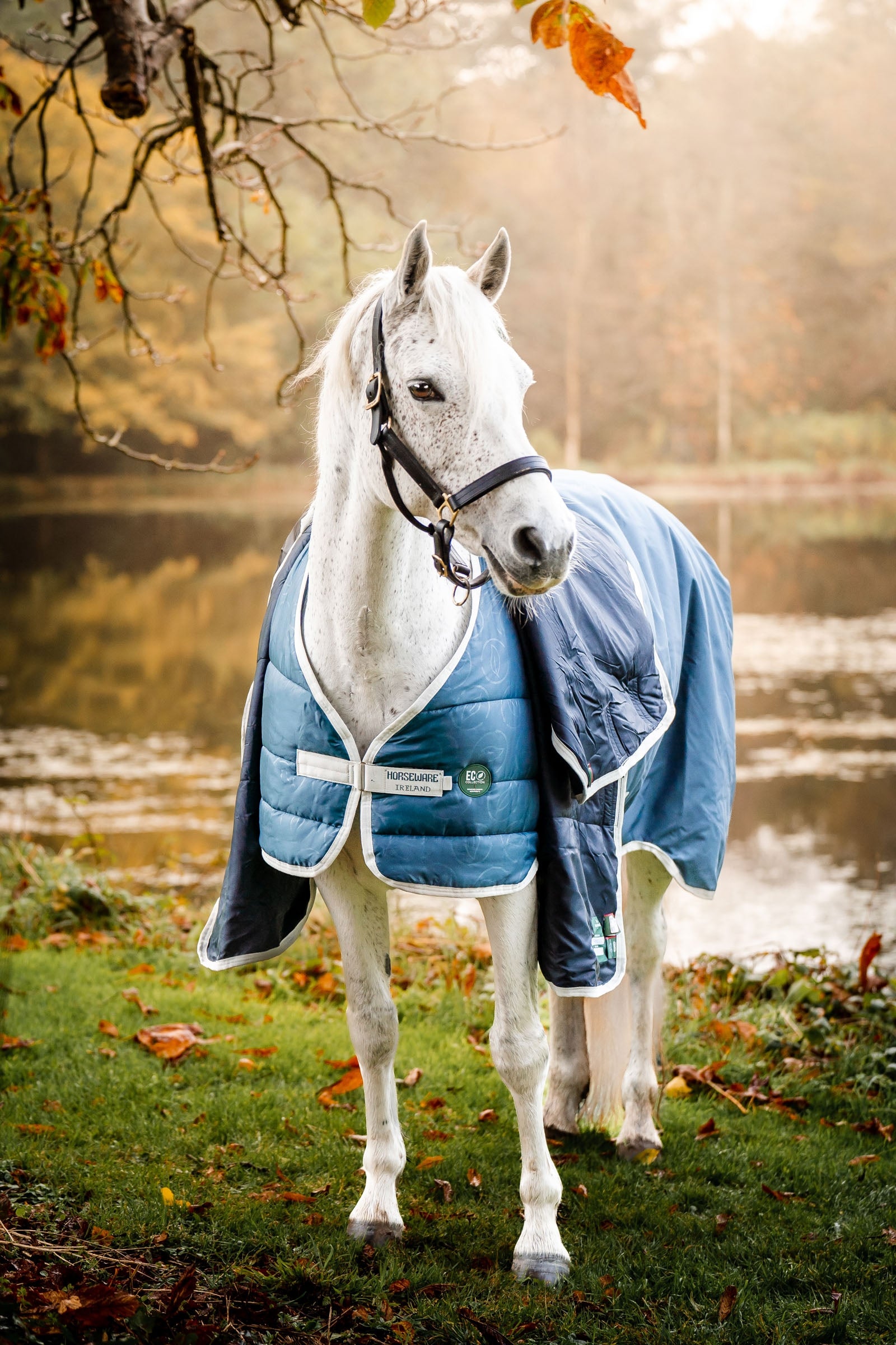 Horseware AmEco Liner, 100g Horse Rugs