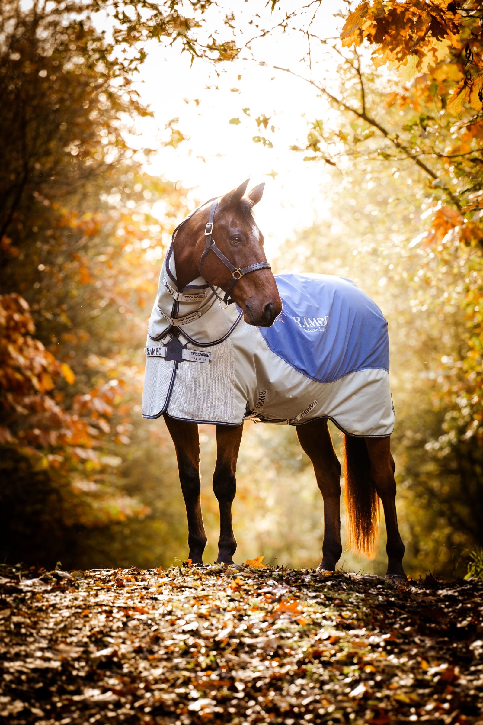 Horseware Rambo Autumn Series manta de exterior con manta interior (0 g / 100 g) Mantas Caballo