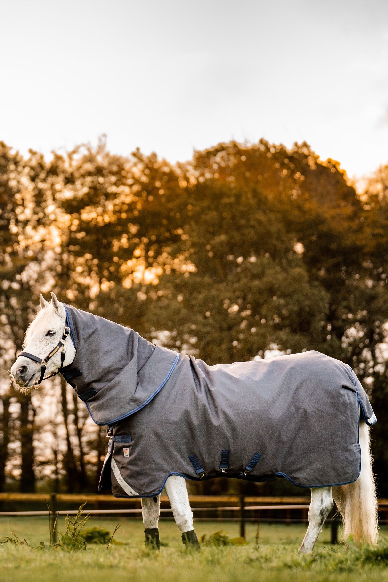 Horseware Manta De Exterior Múltiple Capa Rhino Hexstop Plus, 250g Mantas Caballo