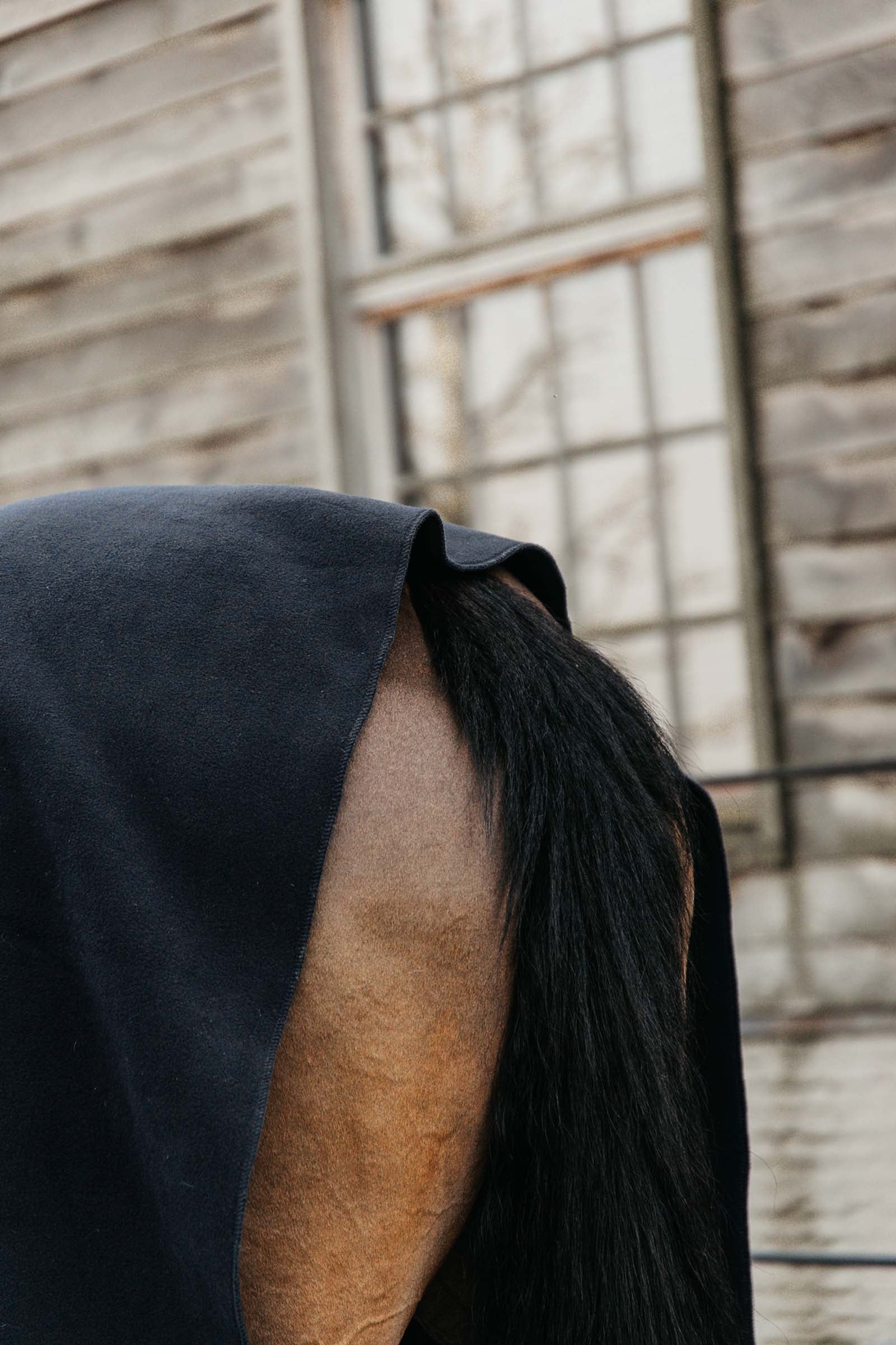 Kentucky Horsewear Heavy Fleece Rug Horse Rugs