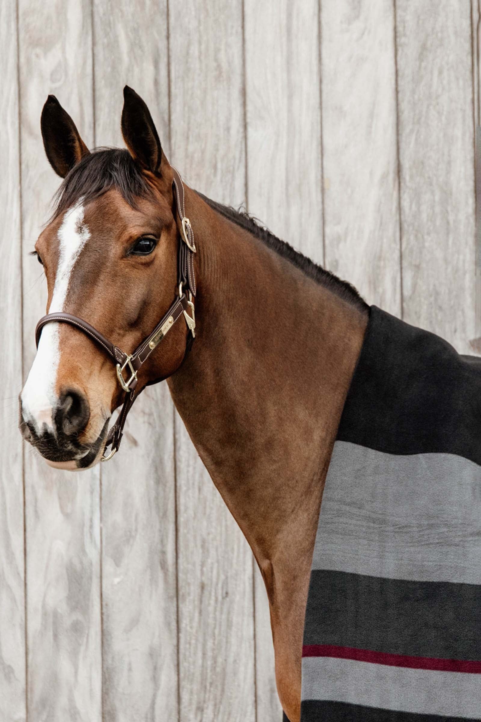 Kentucky Horsewear Heavy Fleece Rug Square Horse Rugs