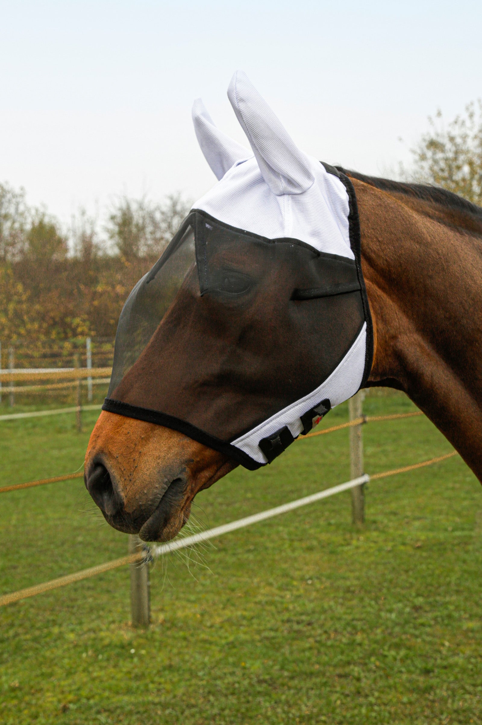 Covalliero Máscara Anti-Moscas con Protección de Orejas SuperFly Protección Antimoscas para Caballos