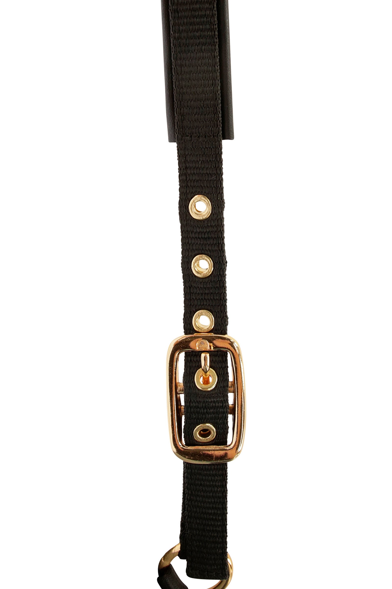 Covalliero TopLine Foal Halter Halters & Leads