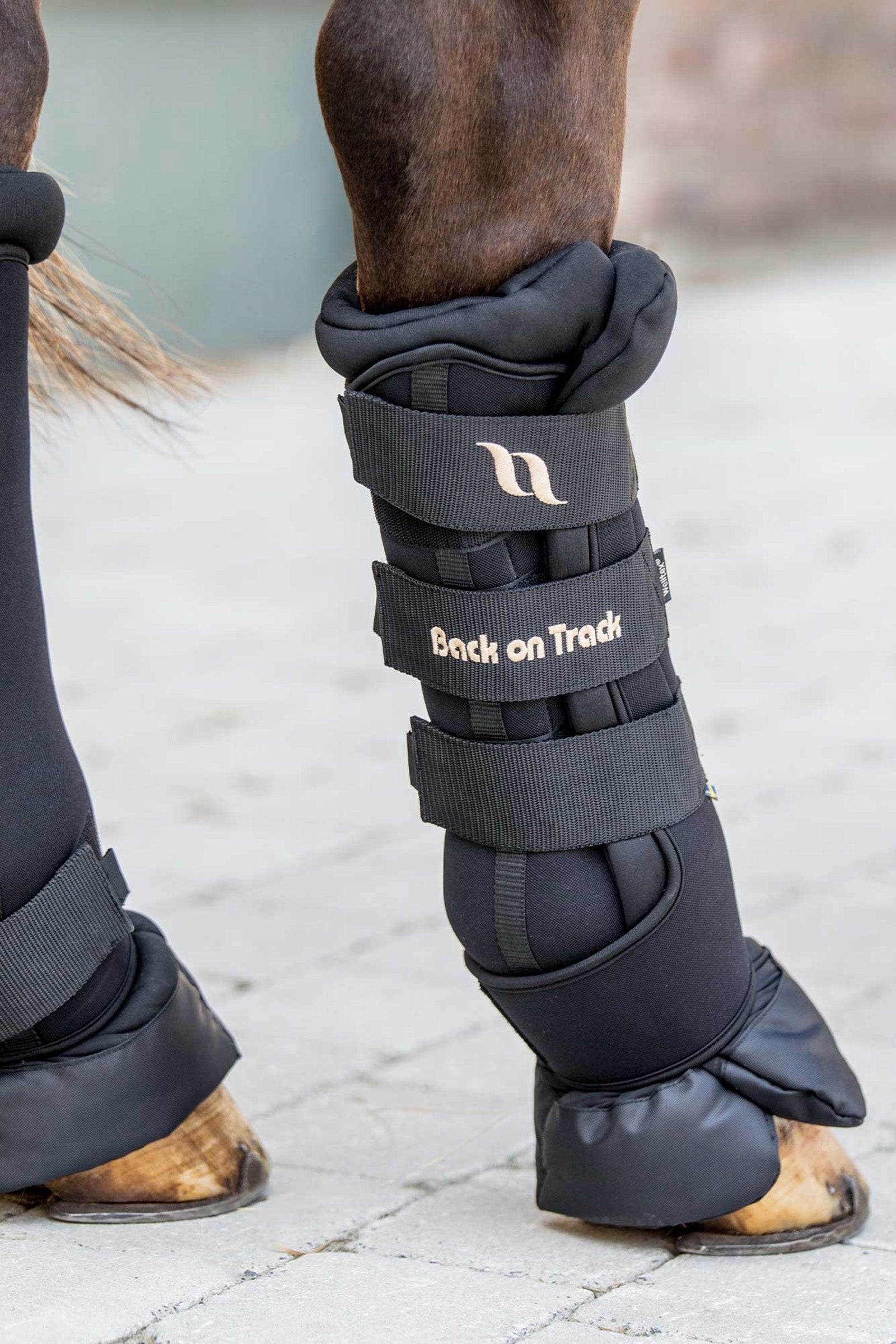 Back on Track Royal Quick Wraps Deluxe (2 uds.) Leg Protection & Hoof Protection for Horses