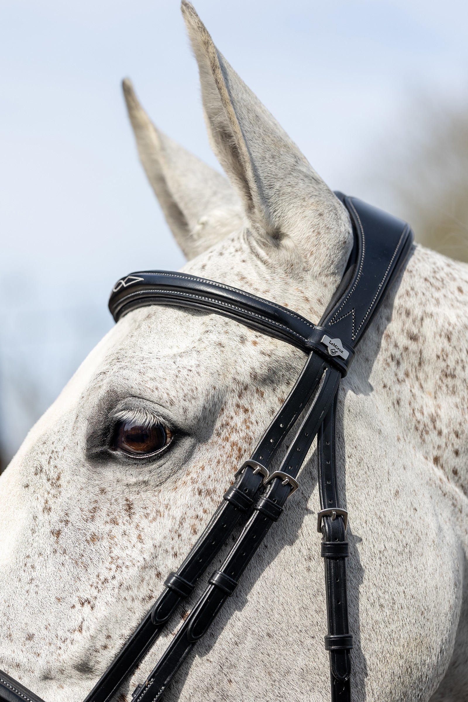 LeMieux Competiton Flash Bridle Bridles & Reins