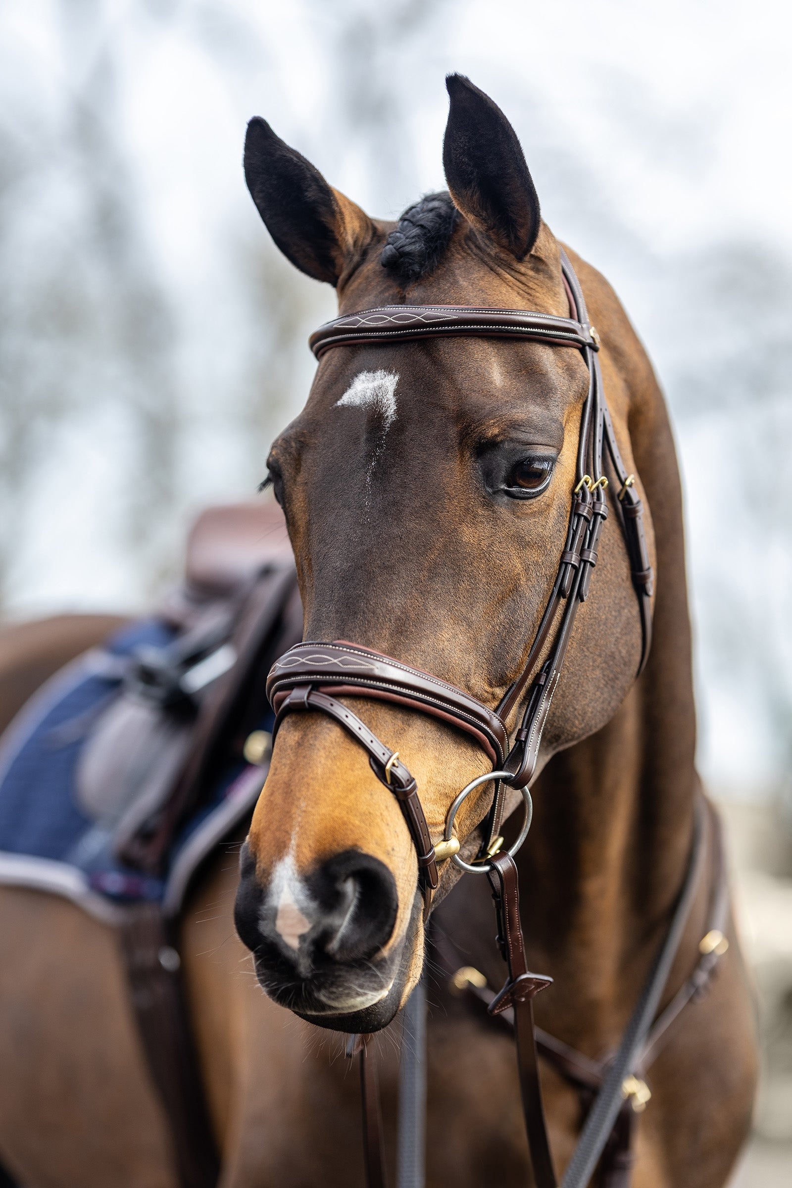 LeMieux Competiton Flash Bridle Bridles & Reins