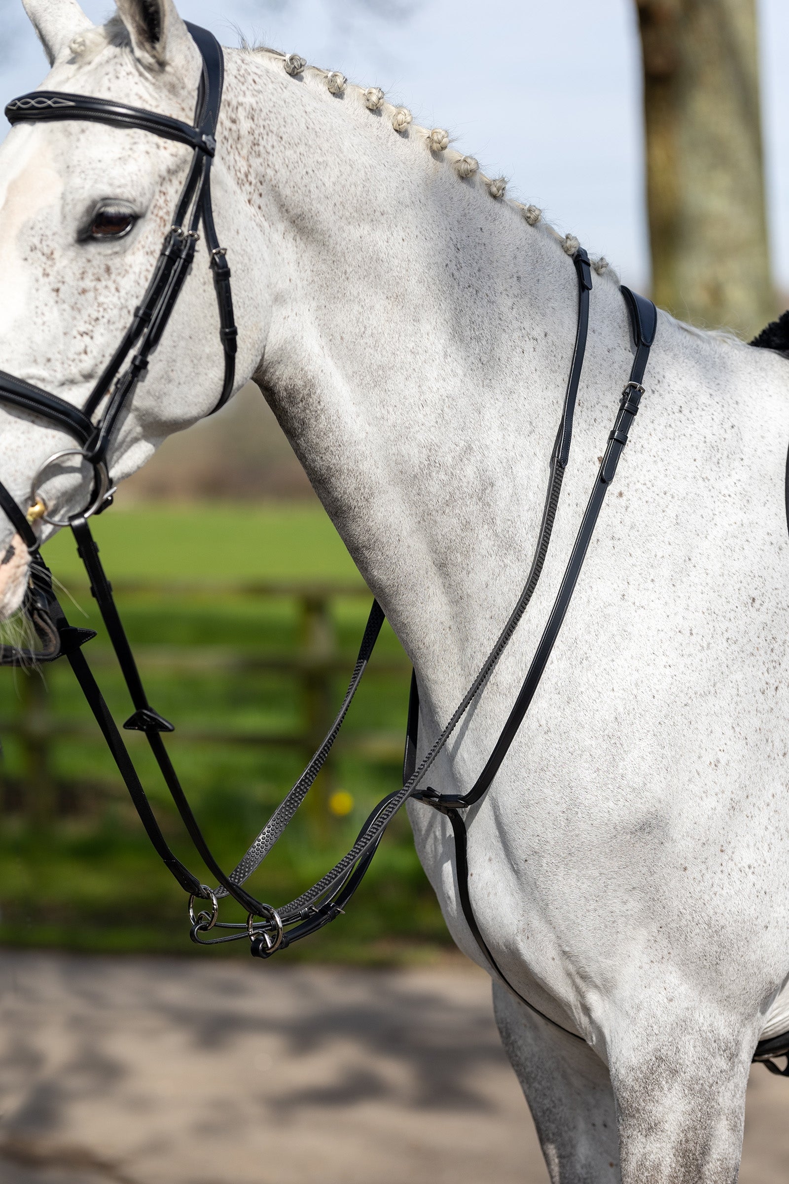 LeMieux Tijerillas LeMieux Cabezadas de montar & Riendas