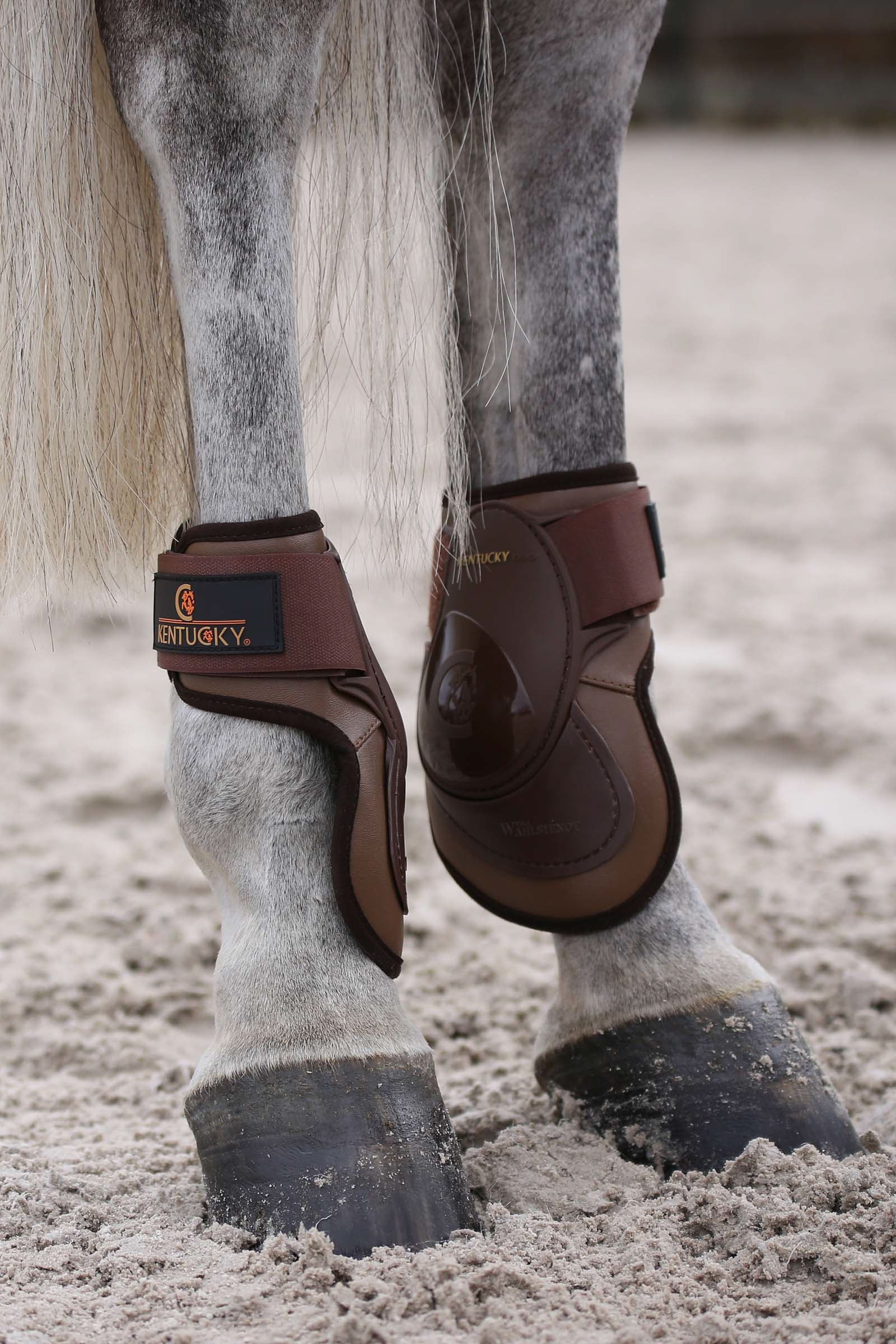 Kentucky Horsewear Protectores de Menudillo Deep Leg Protection & Hoof Protection for Horses
