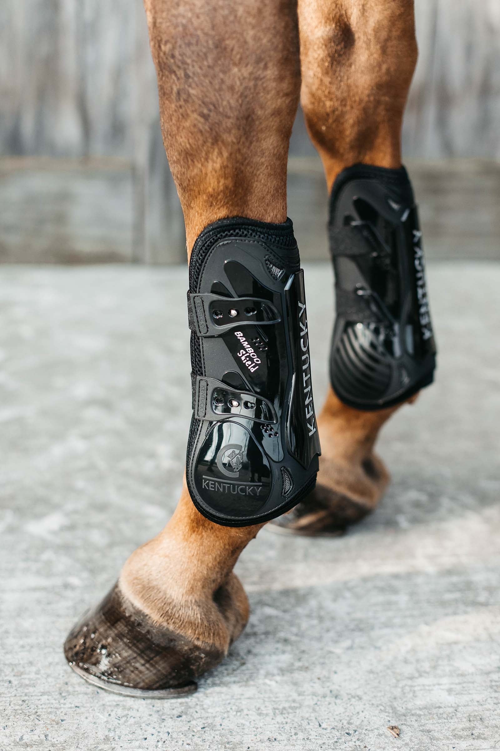 Kentucky Horsewear Protectores Elásticos Bambú Leg Protection & Hoof Protection for Horses