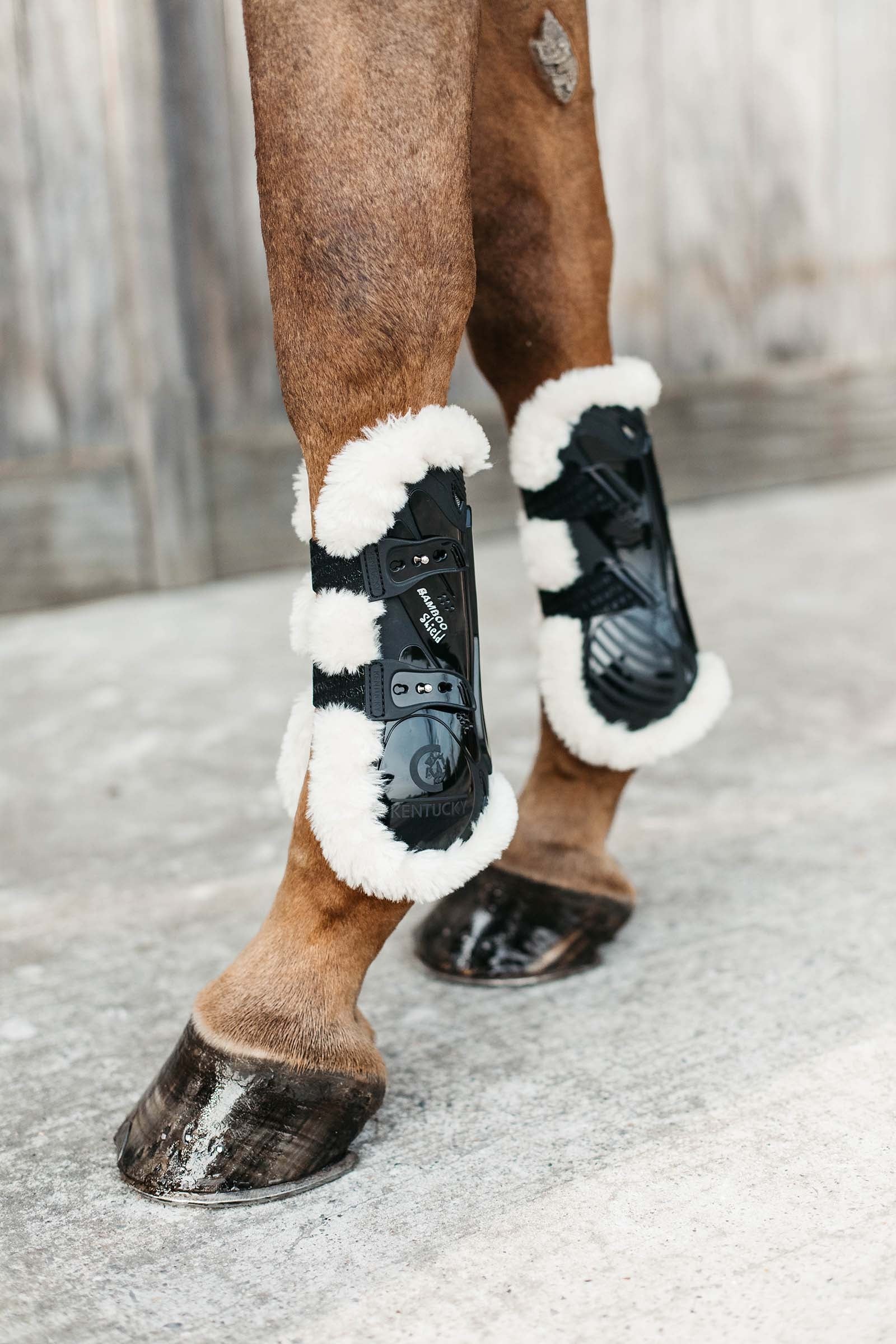 Kentucky Horsewear Protectores de Tendón Elásticos Bambú Piel de Oveja Vegano Leg Protection & Hoof Protection for Horses