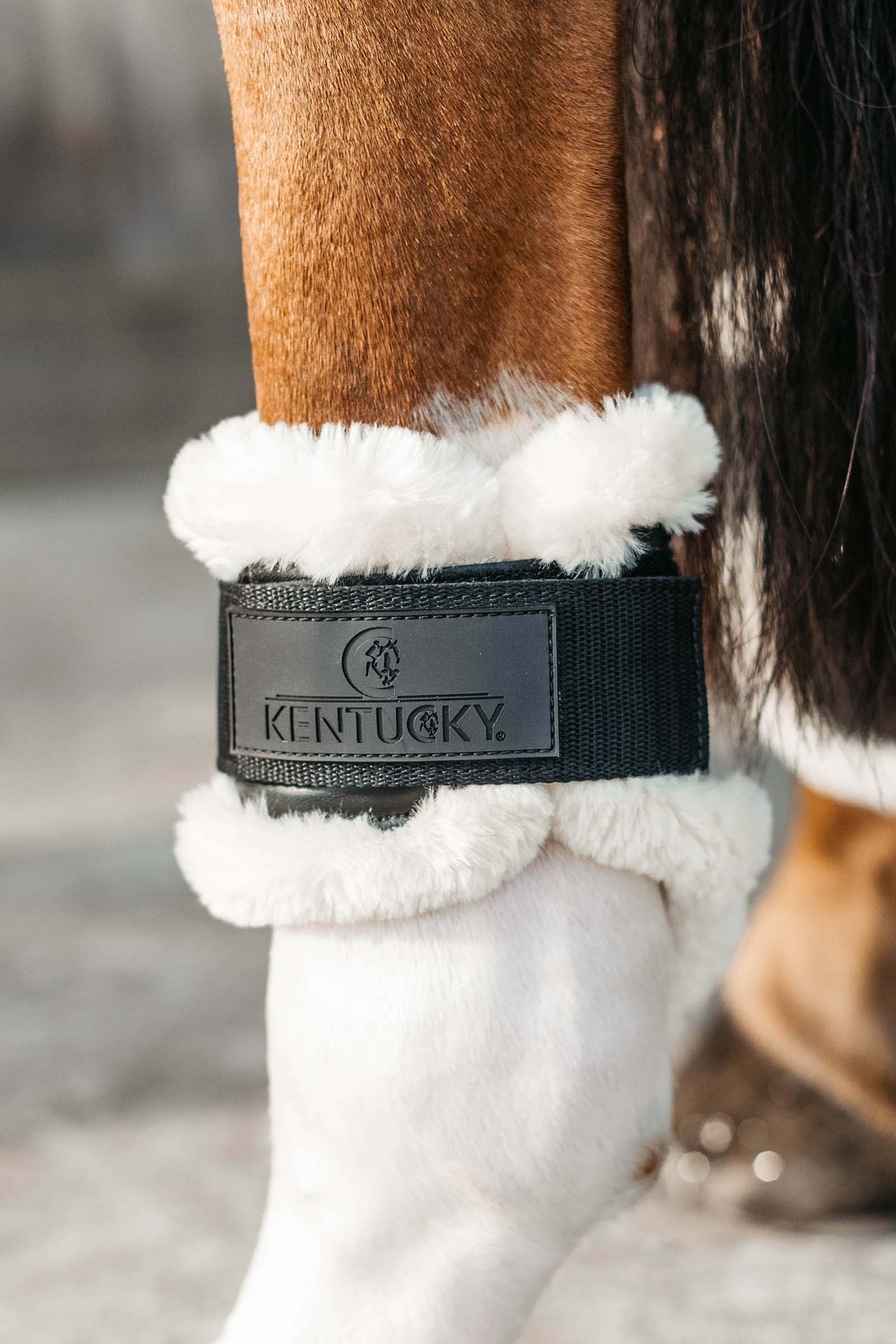 Kentucky Horsewear Vegan Sheepskin Young Horse Fetlock Boots Leg Protection & Hoof Protection for Horses