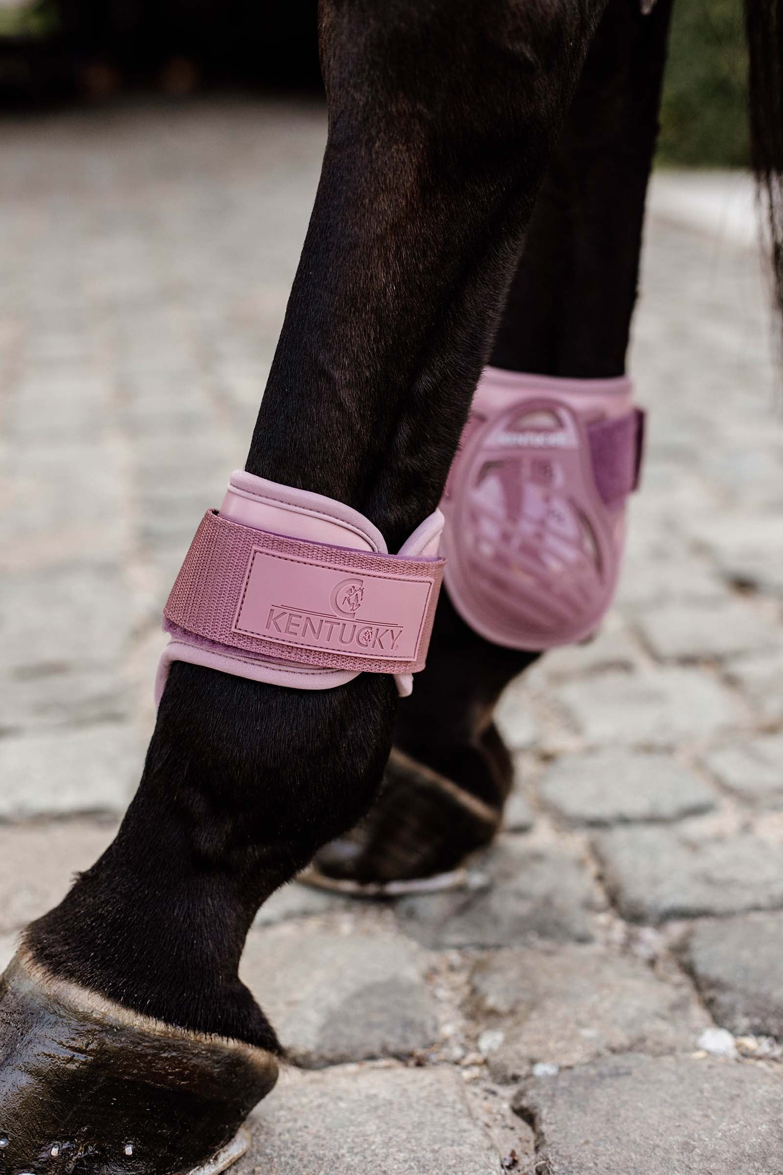 Kentucky Horsewear Young Horse Fetlock Boots Leg Protection & Hoof Protection for Horses