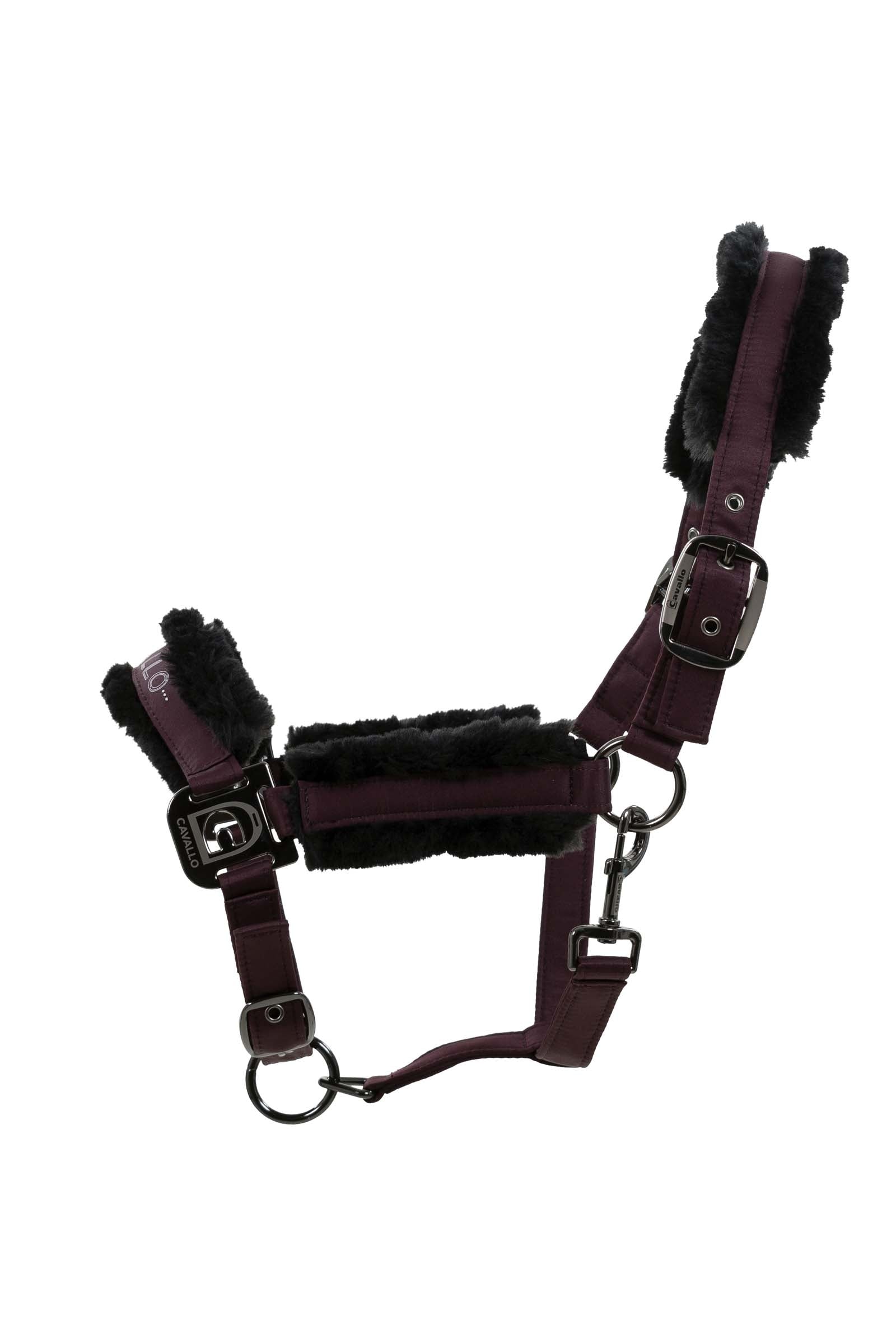 Cavallo CavalHafida Halter Halters & Leads