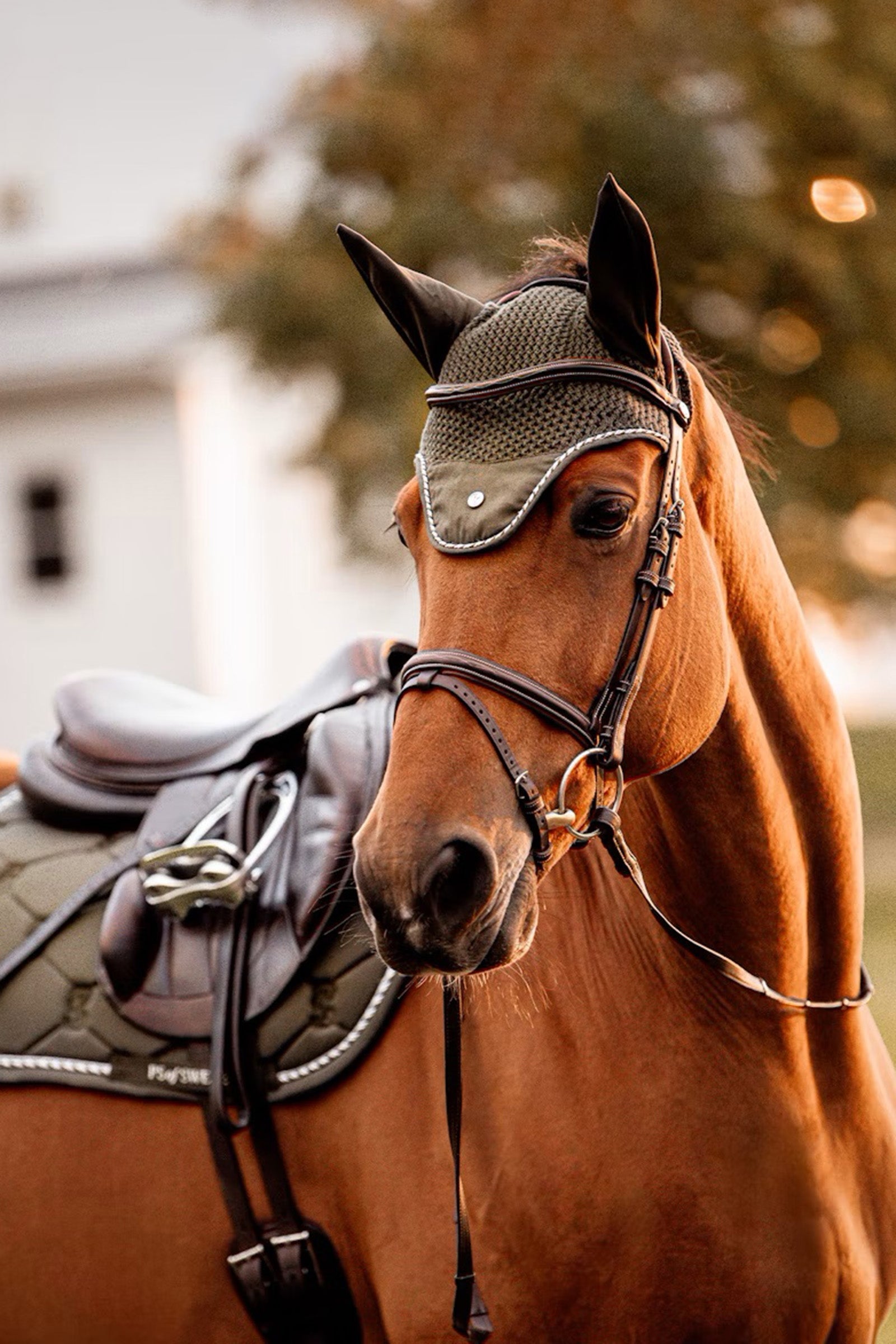 PS of Sweden Cotton Signature Fly Hood Saddle Pads