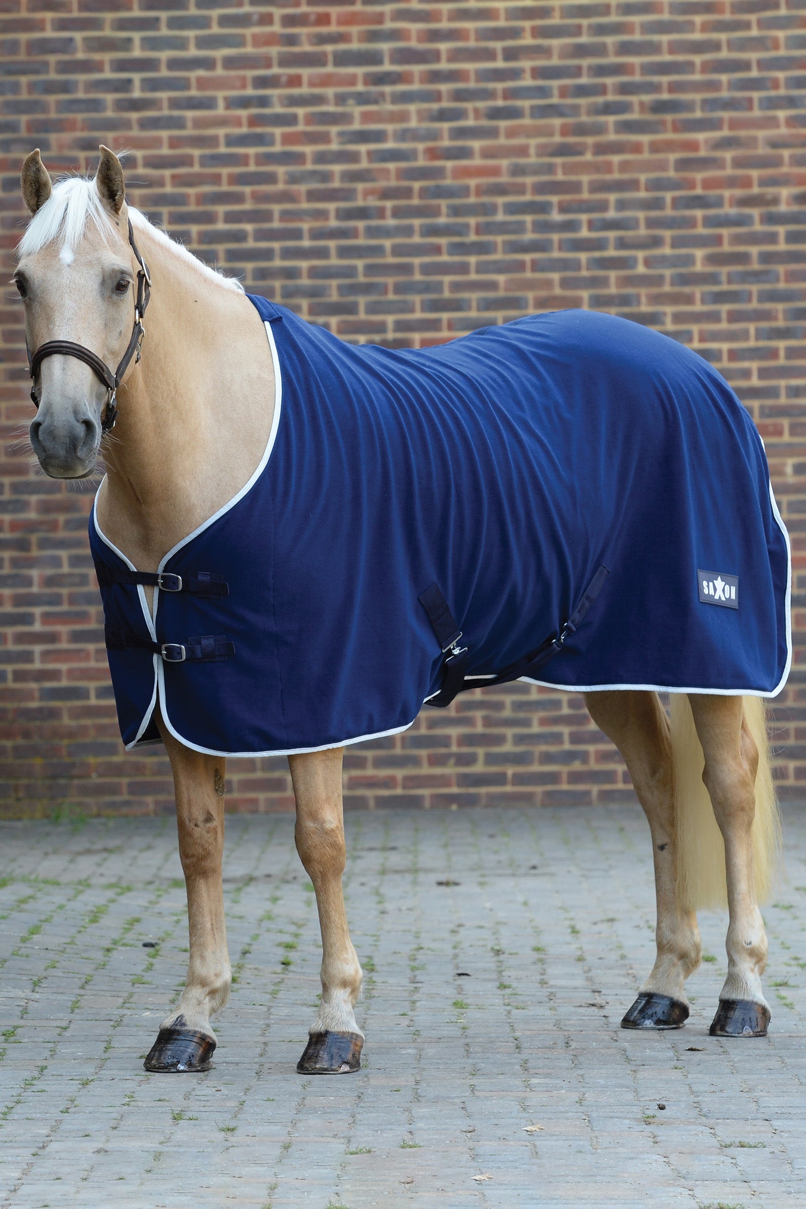 Saxon Manta Polar Saxon Mantas Caballo