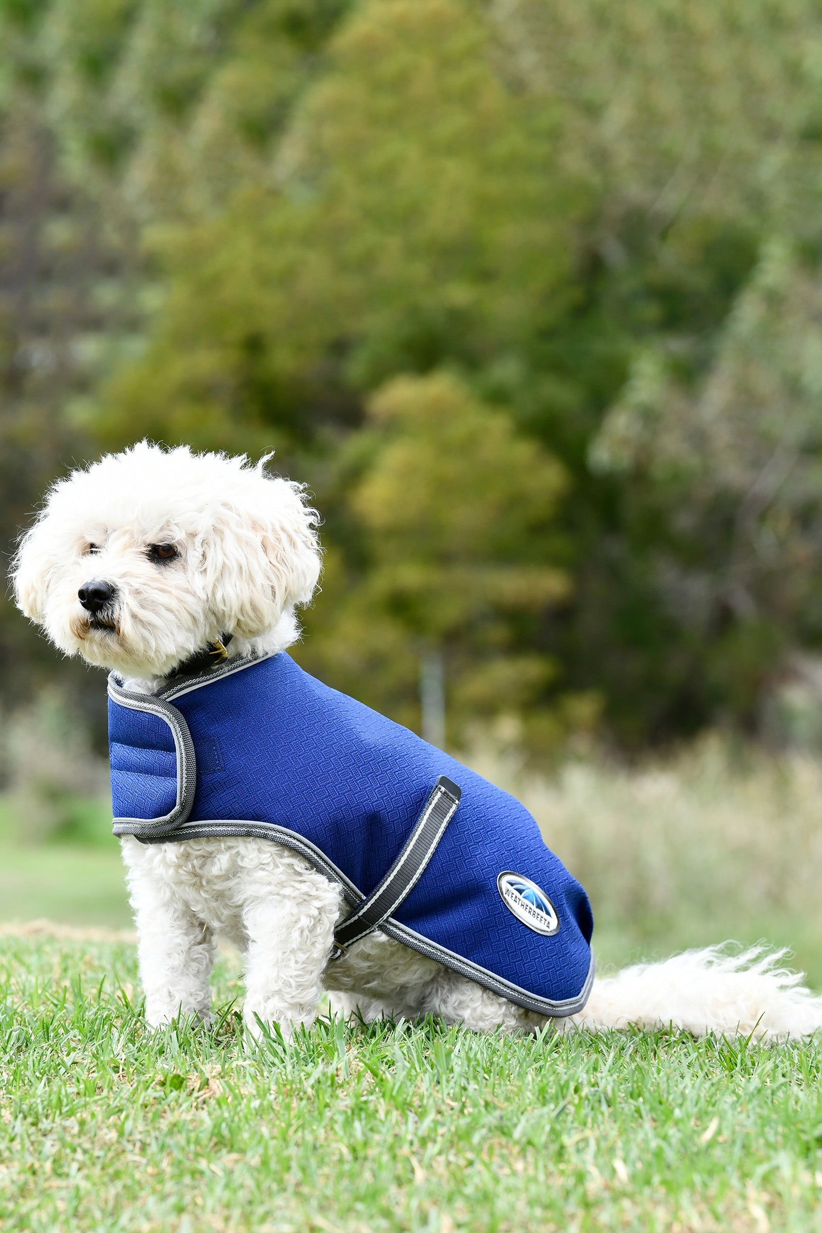 Weatherbeeta Abrigo para Perro Parka Libre Medio Comfitec Premier, 220g Perro