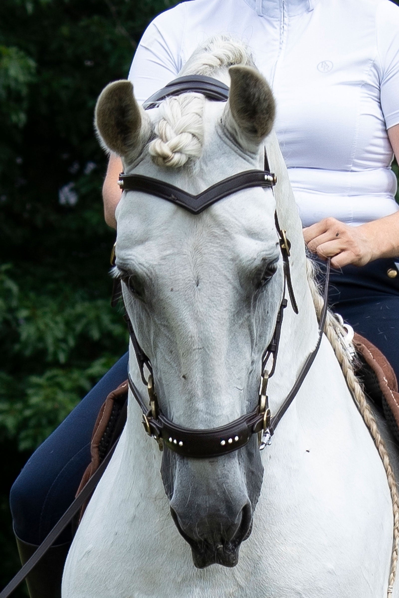 F.R.A. Freedom Riding Articles Glory Hackamore Bridle With Reins (System 2), brown Bridles & Reins