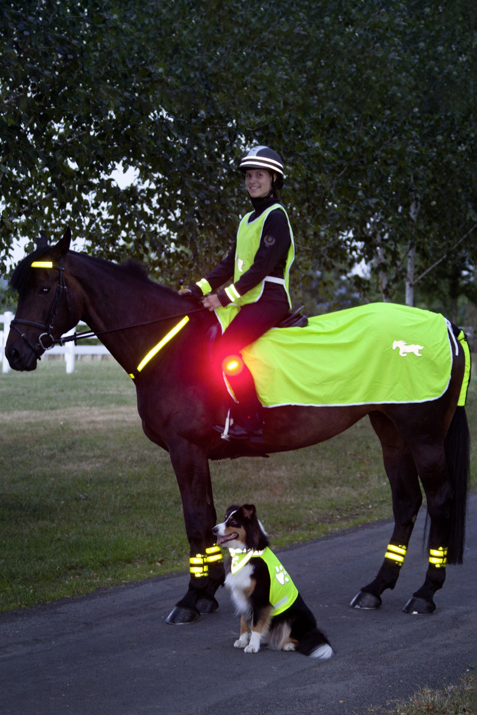 USG Manta Reflectante USG Reflective