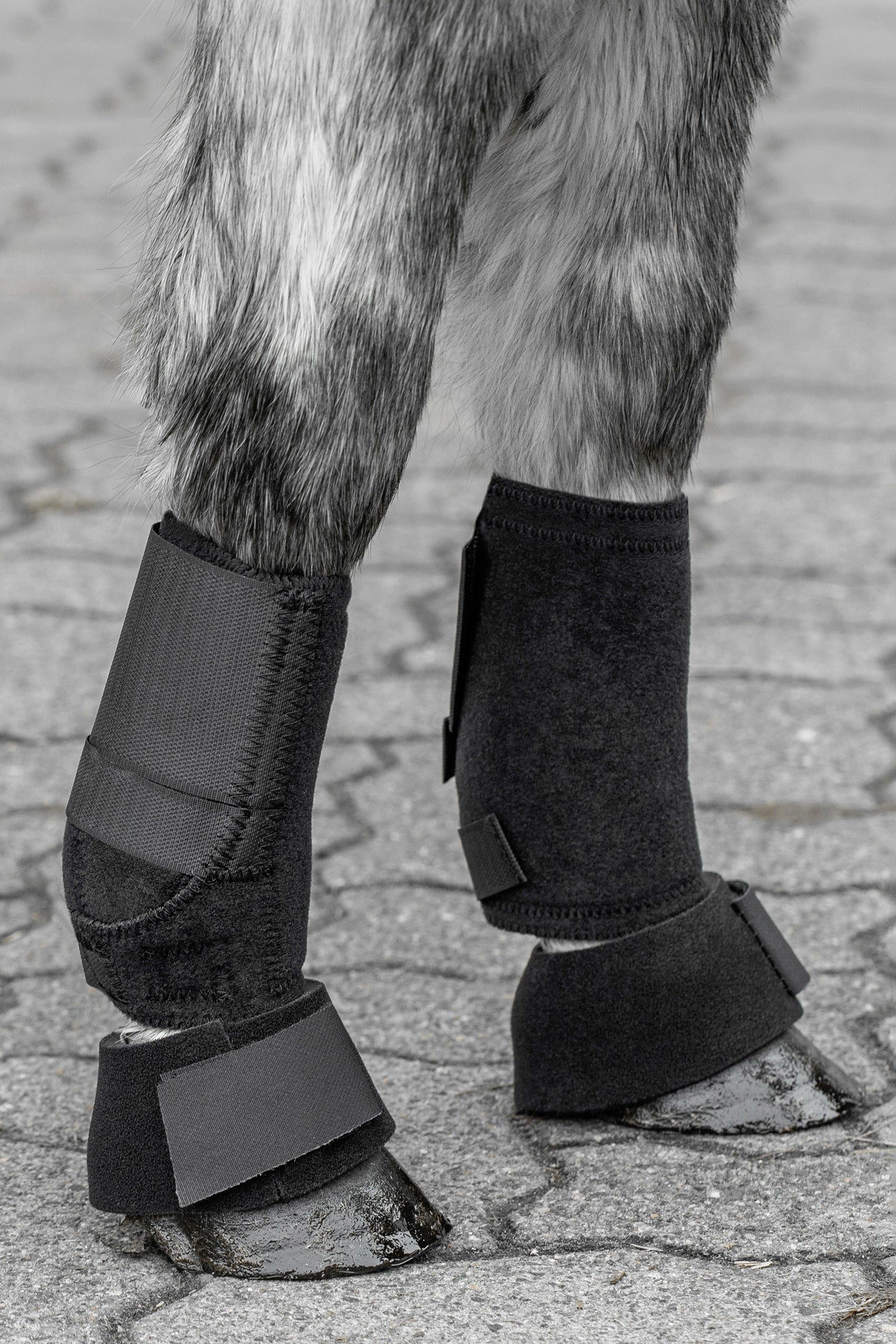 USG Protectores para Shetland Leg Protection & Hoof Protection for Horses