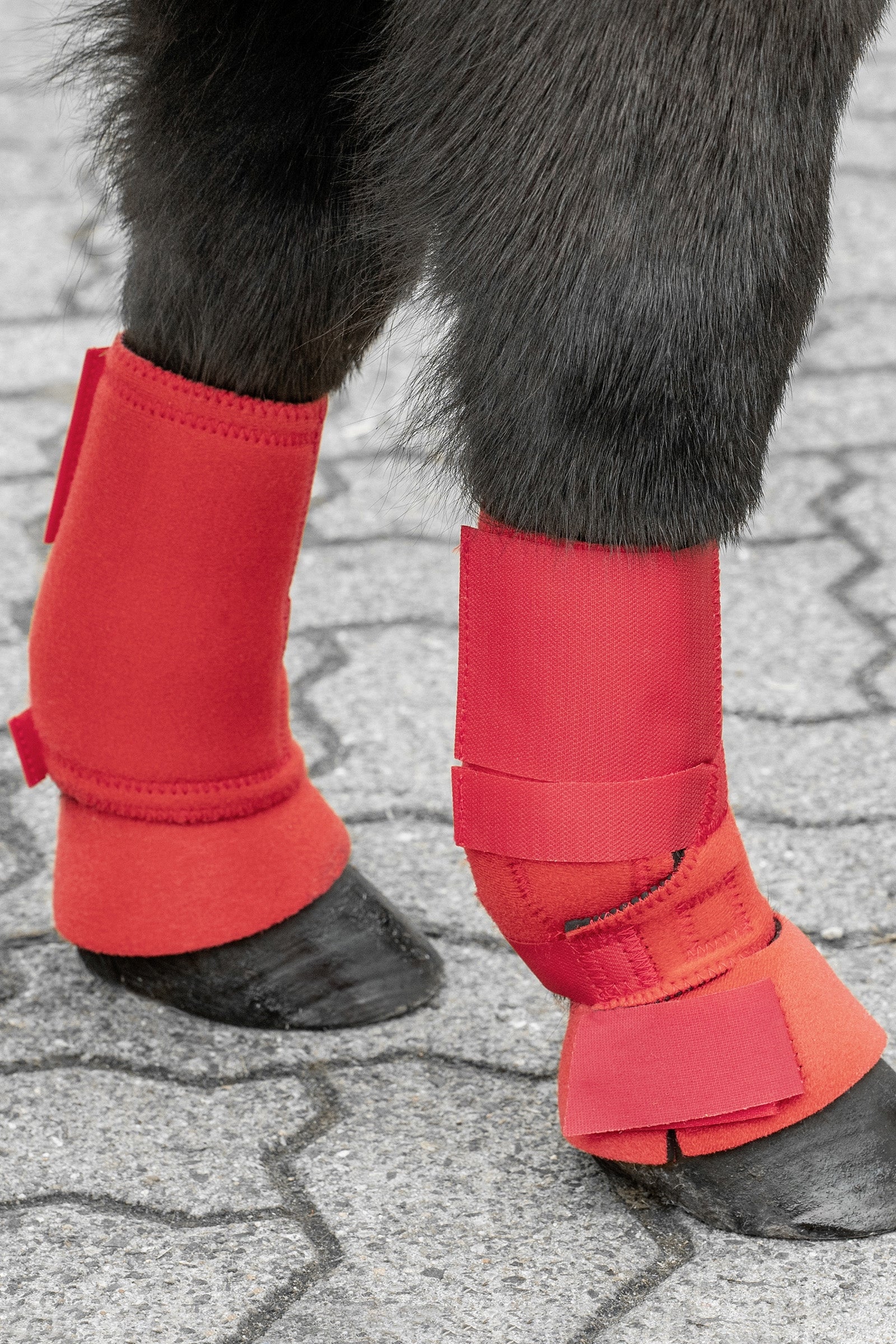 USG Protectores para Shetland Leg Protection & Hoof Protection for Horses