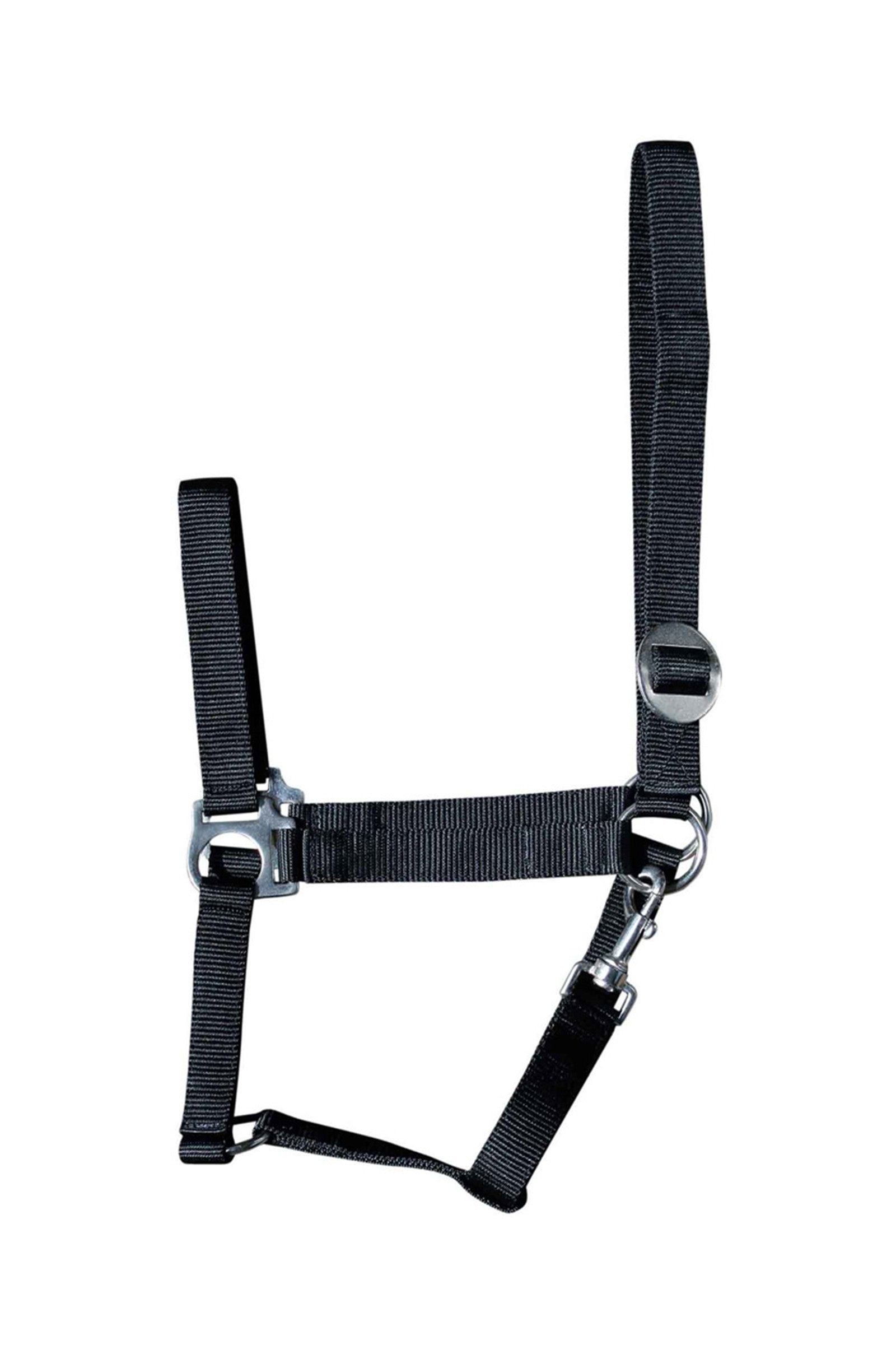 Harry's Horse Economy Headcollar Halters & Leads