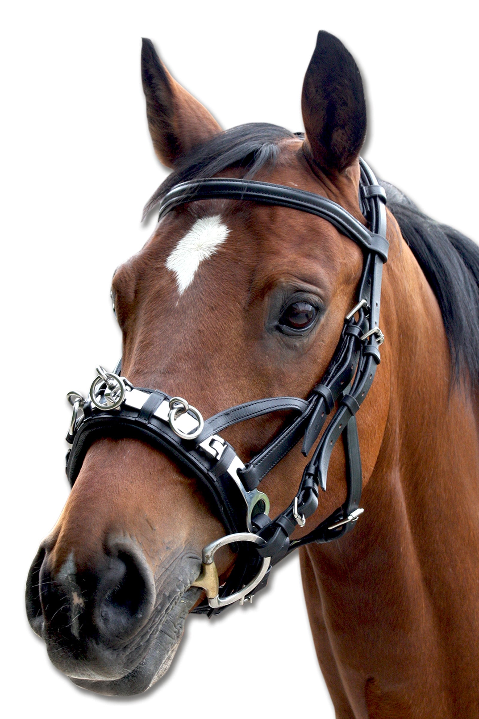Waldhausen Leather Cavesson Horse Training