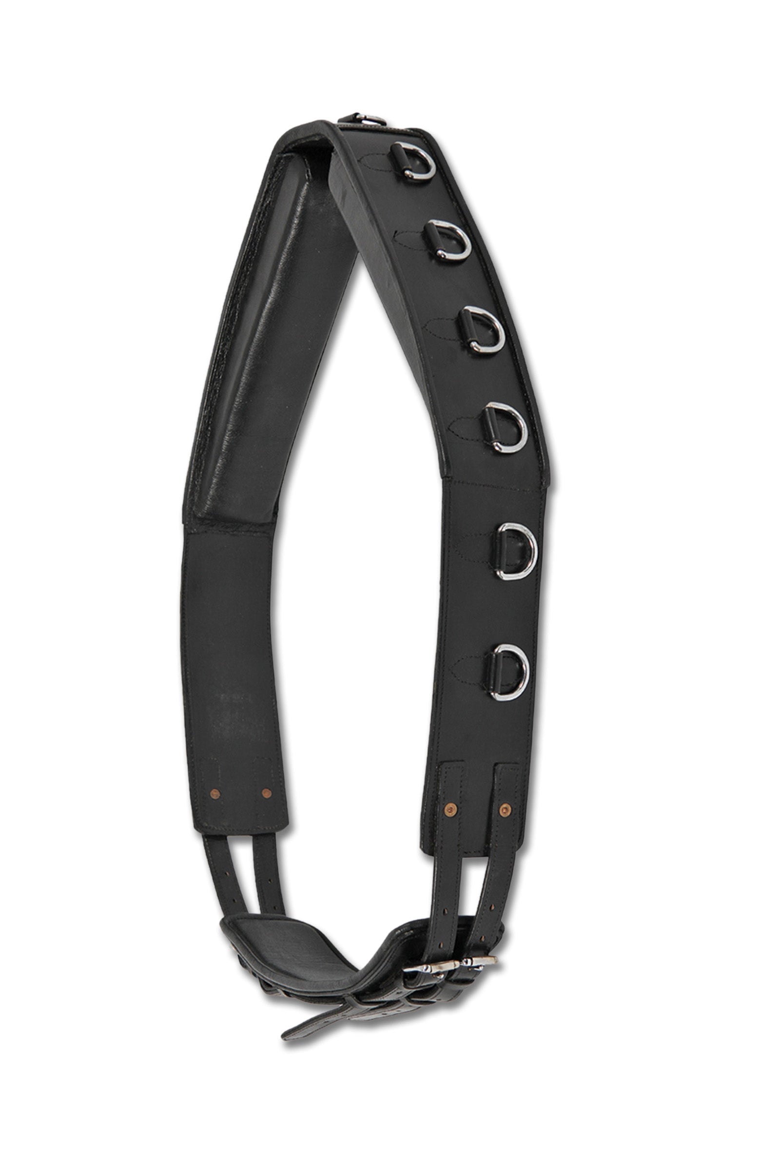 Waldhausen Lunging Surcingle, Leather Horse Training