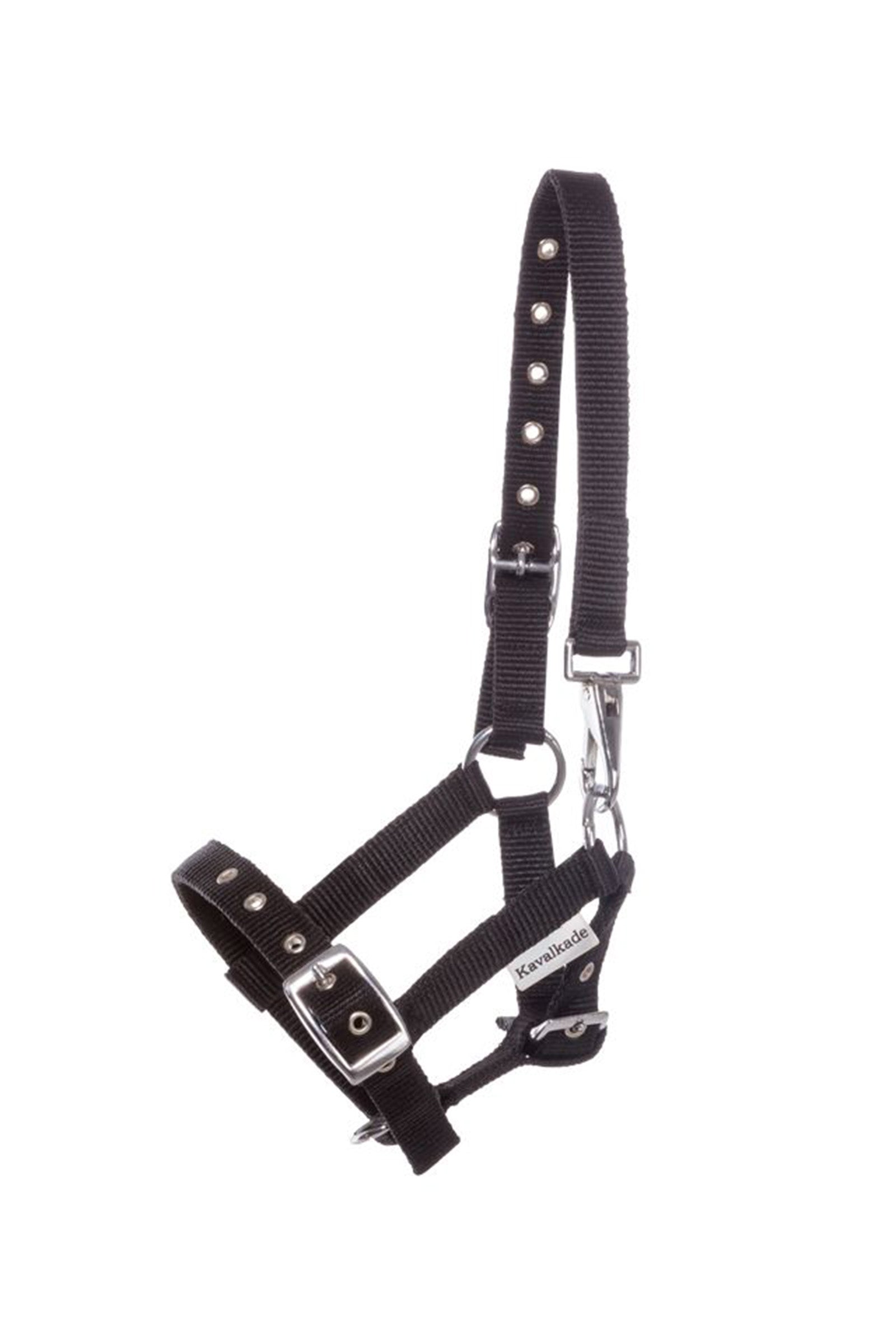 Kavalkade Cabestro de para potros y añales Cabezadas de cuadra & Ramales