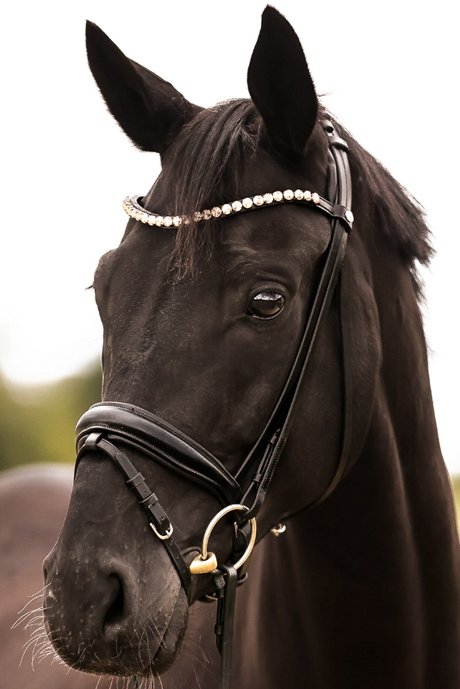 Kavalkade Fortuna KavalSH4 Bridle Bridles & Reins