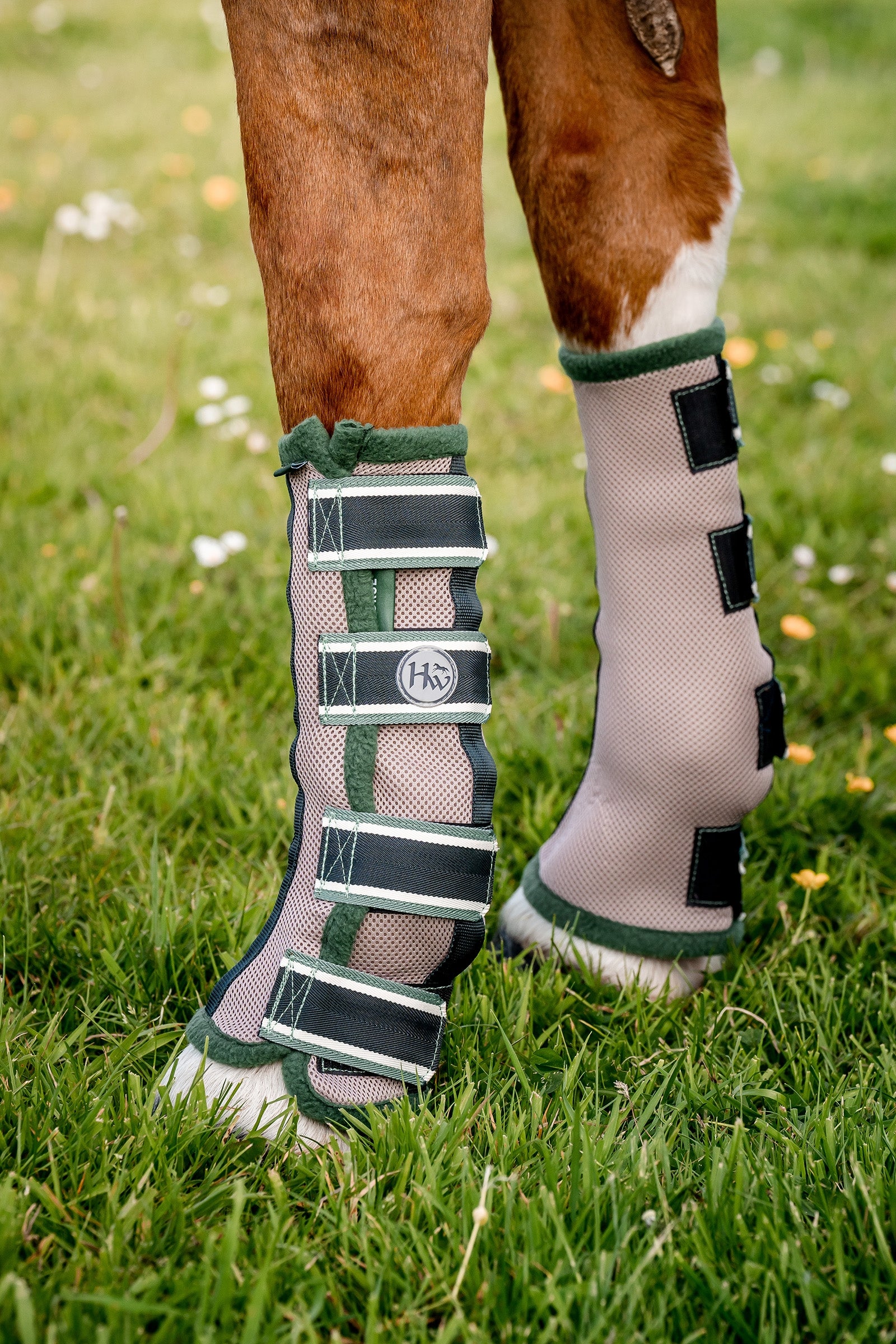 Horseware anti-moscas protectores para caballo Leg Protection & Hoof Protection for Horses